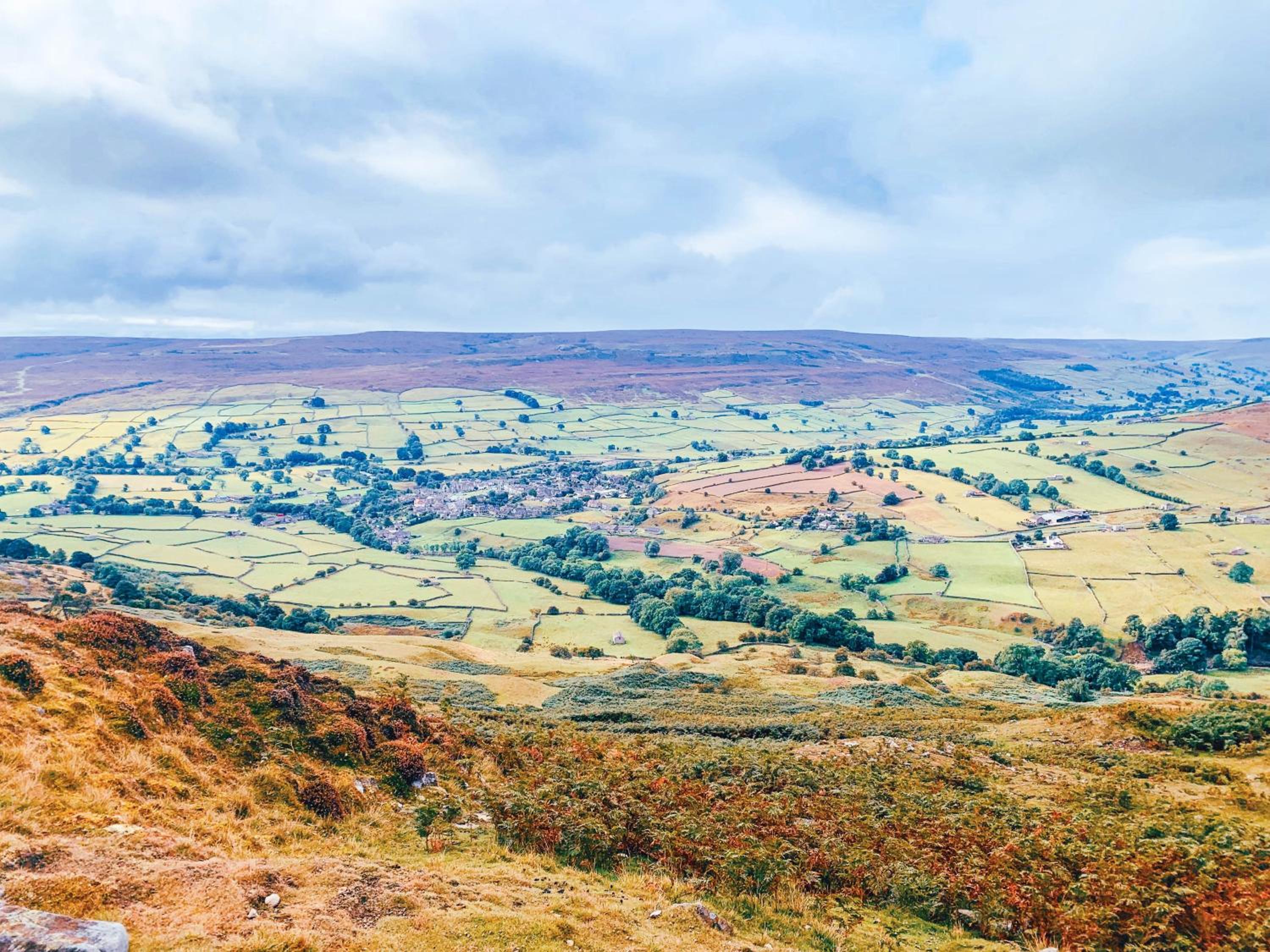Dalesmoor