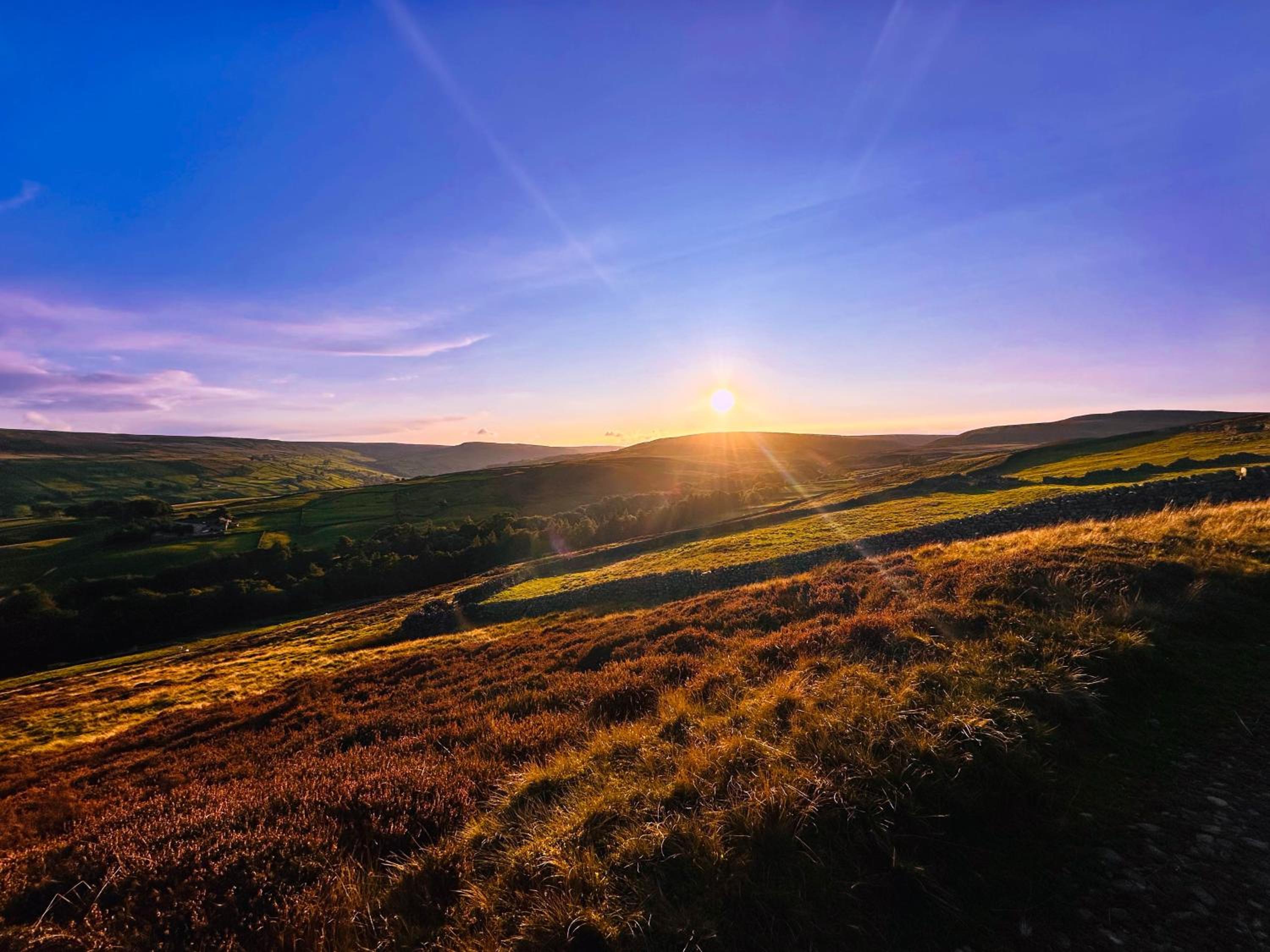 Dalesmoor