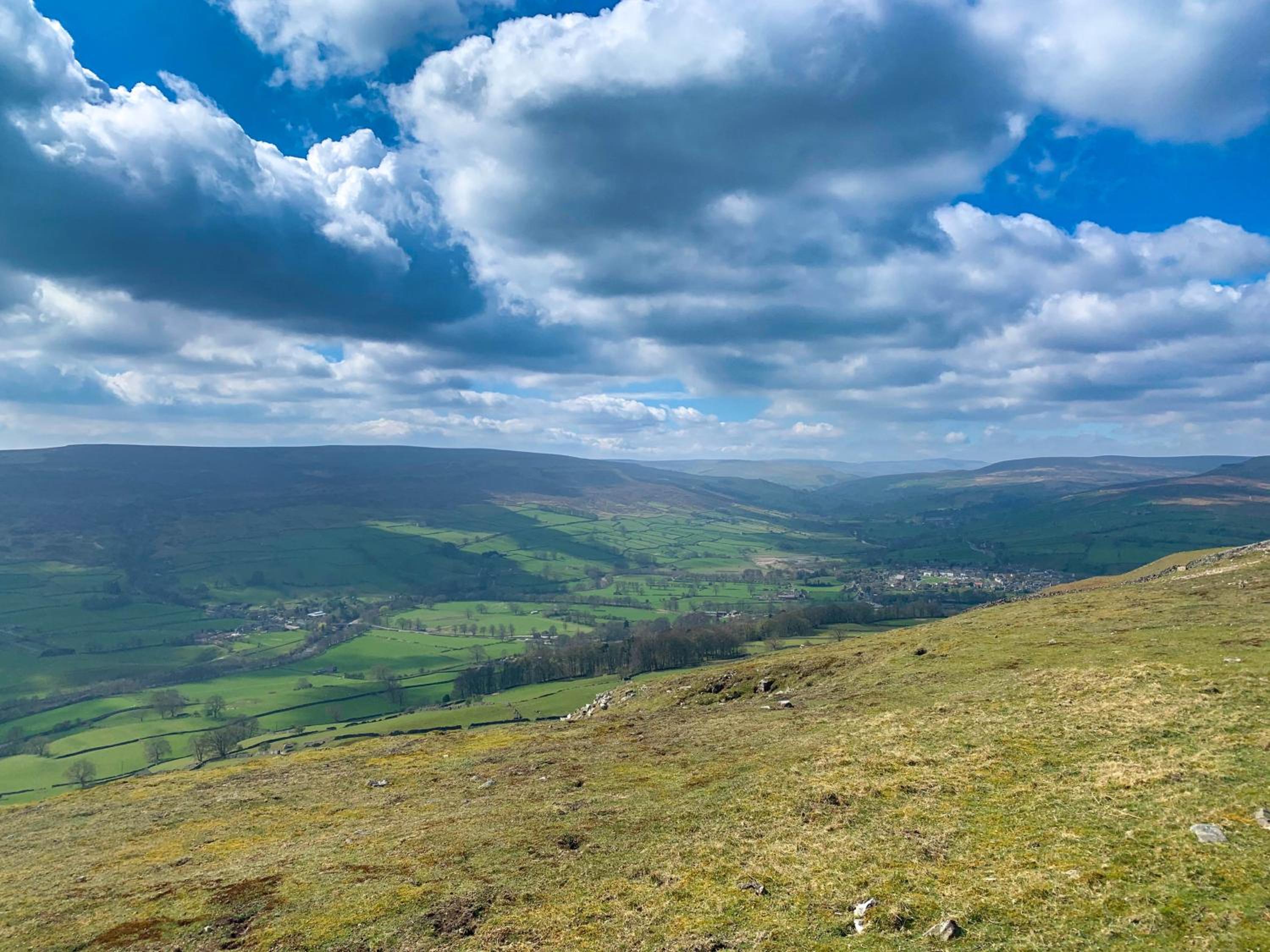 Dalesmoor