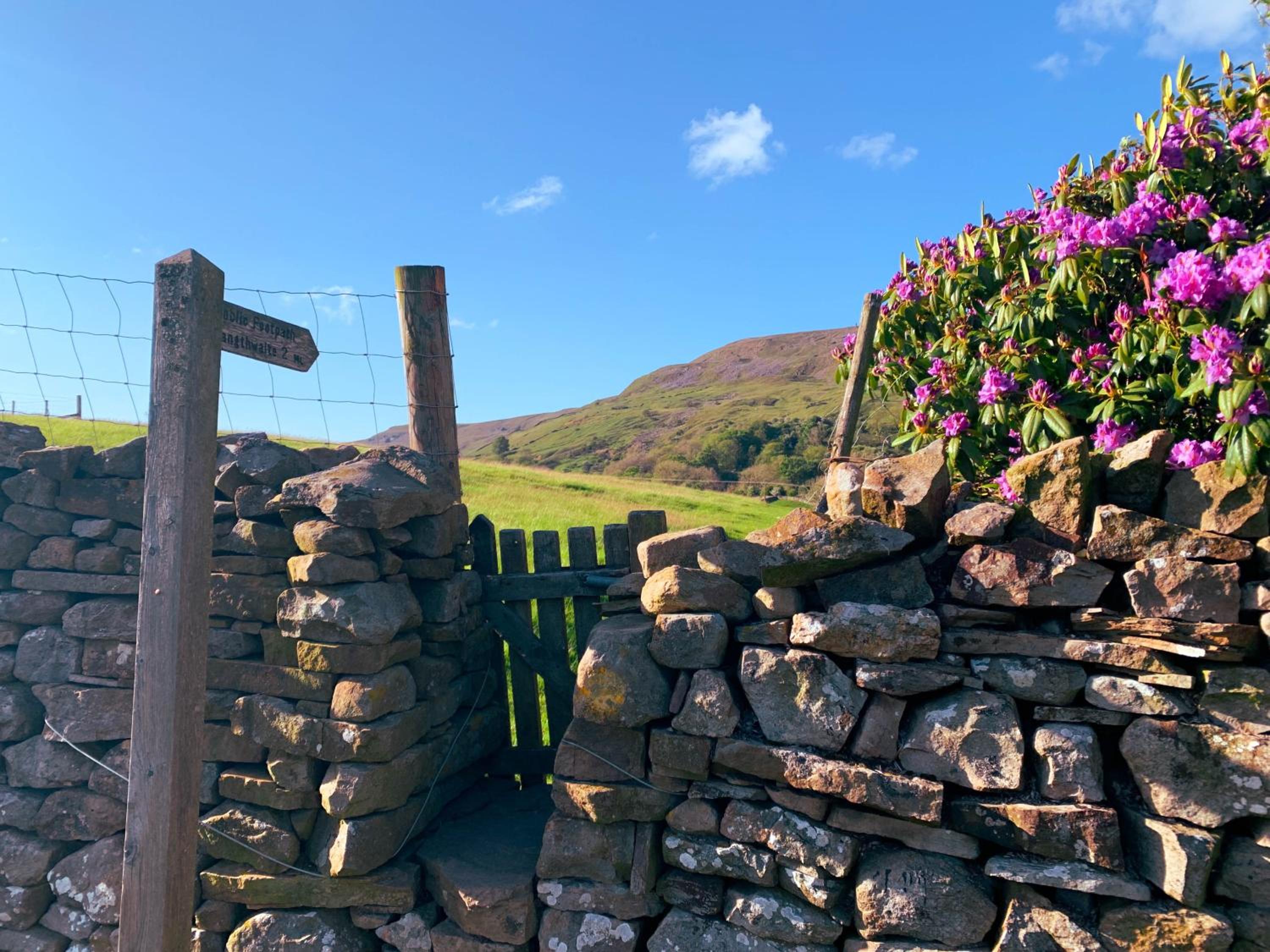 Dalesmoor