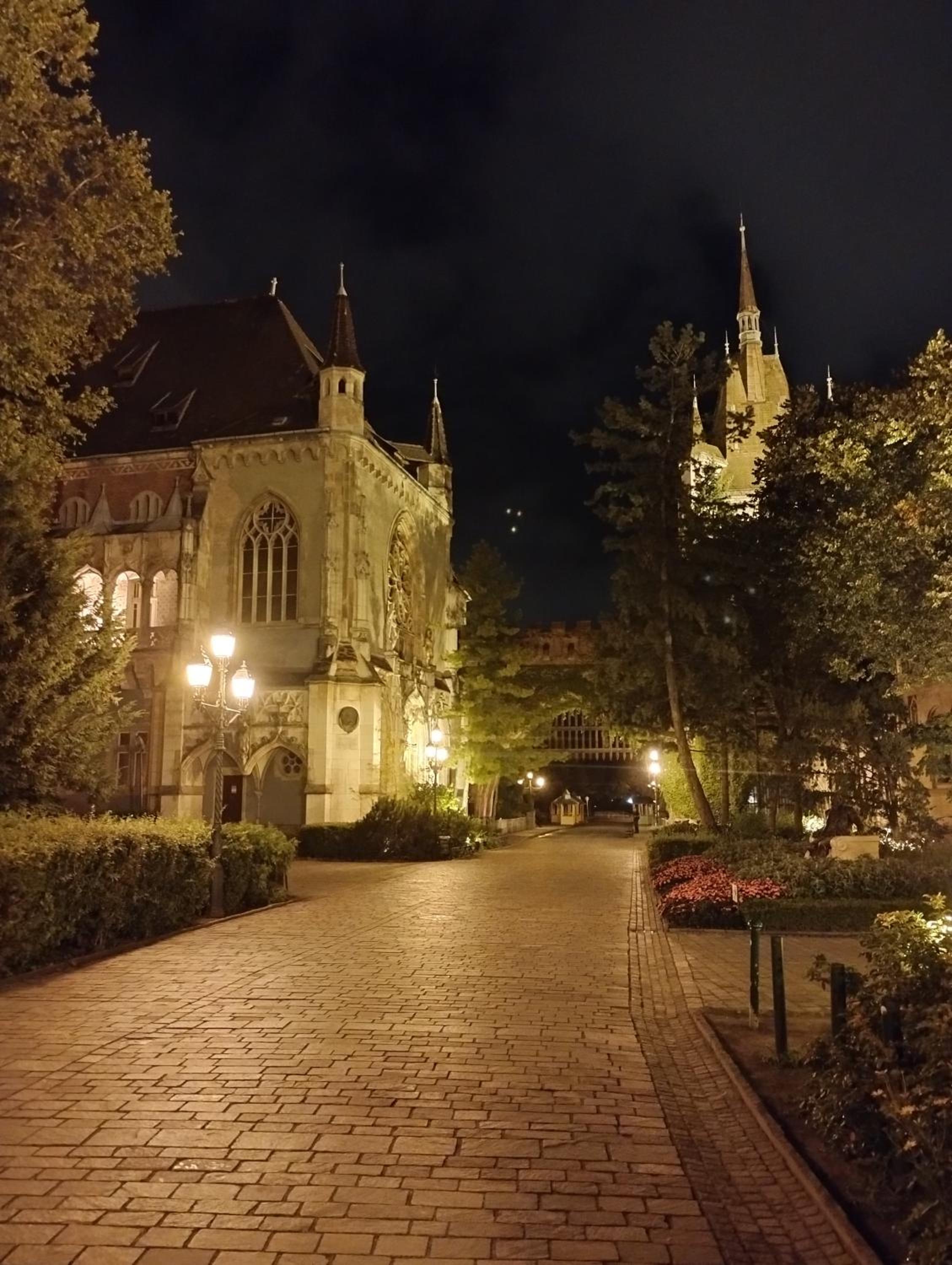 Photo 23