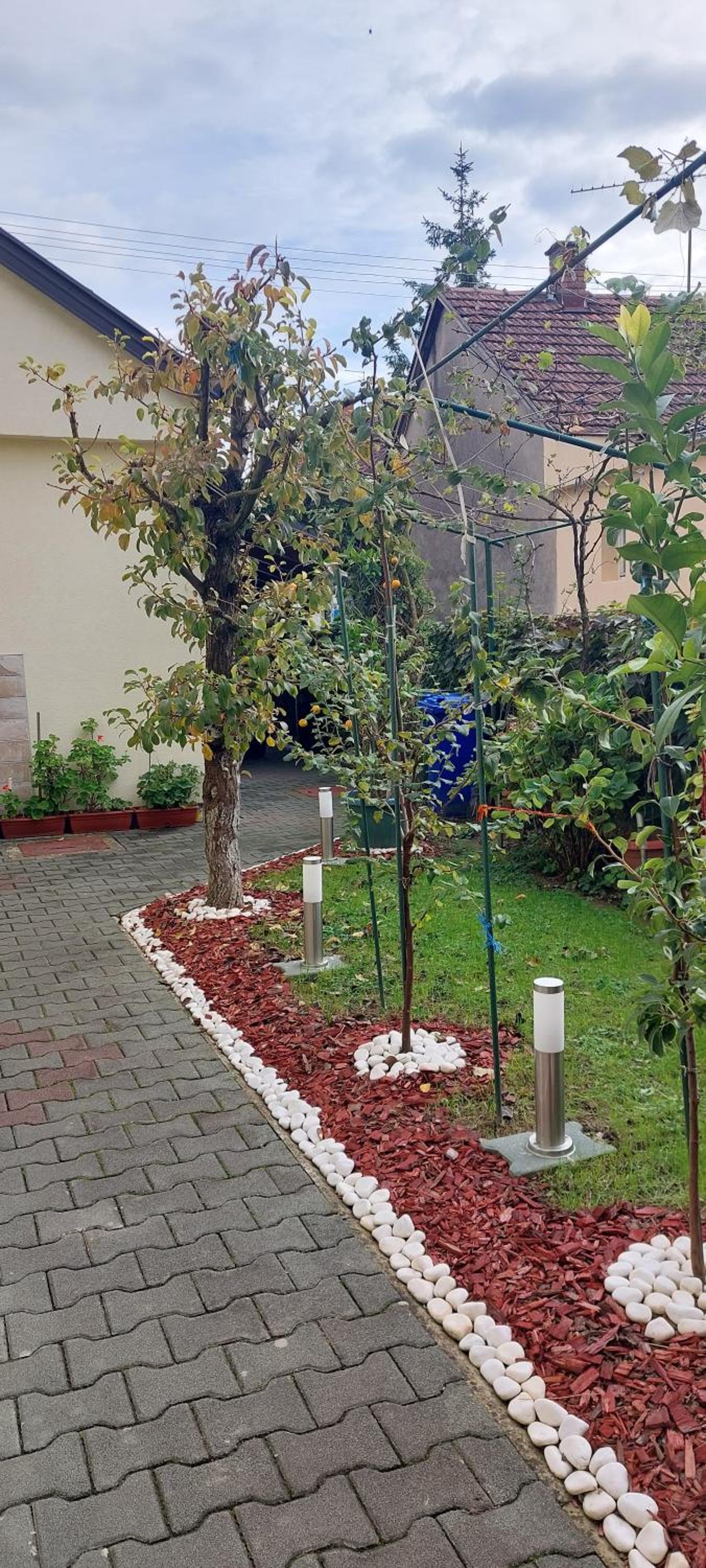 Soba Luić, photo 16