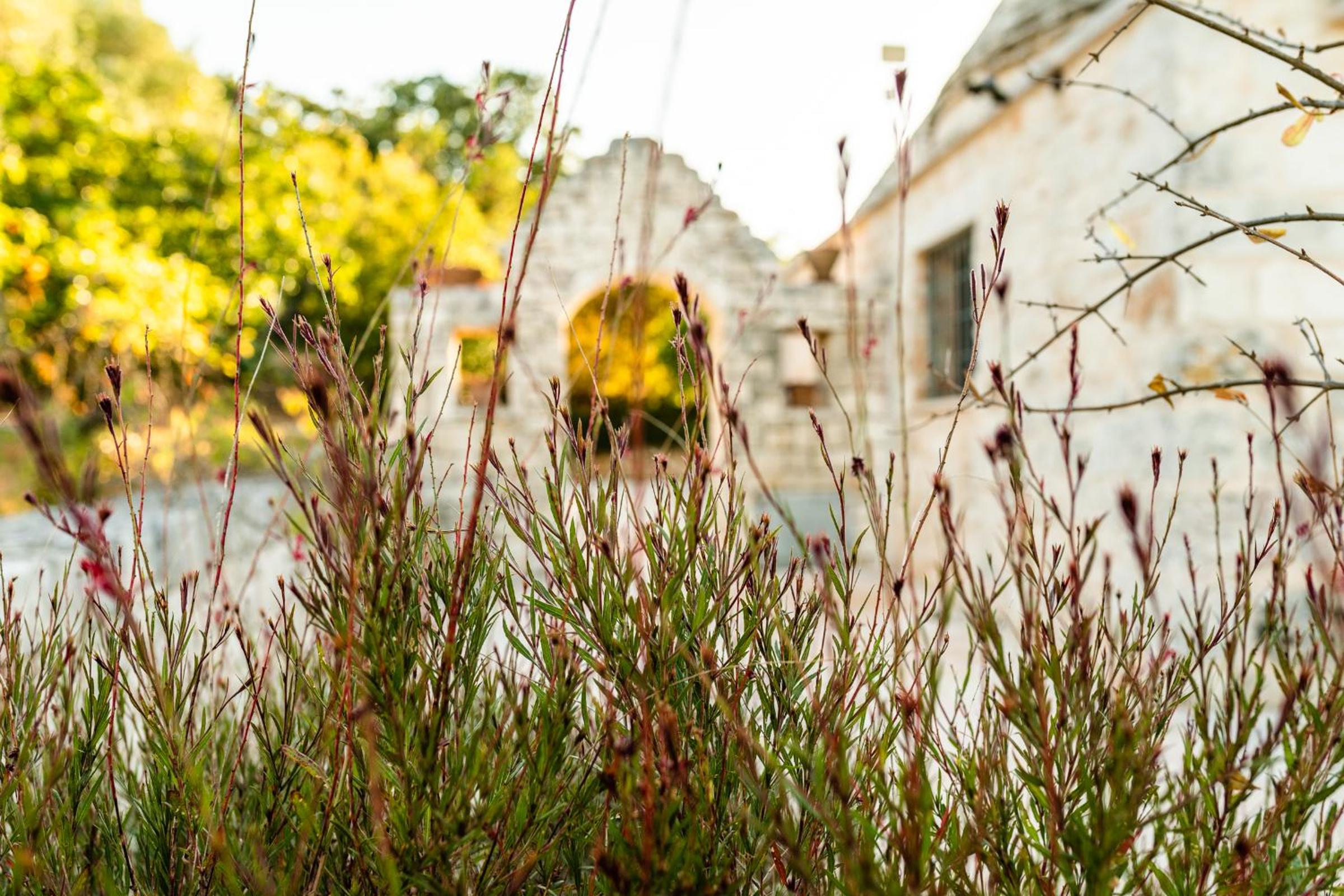Sopra i Sassi - Villa & Trulli