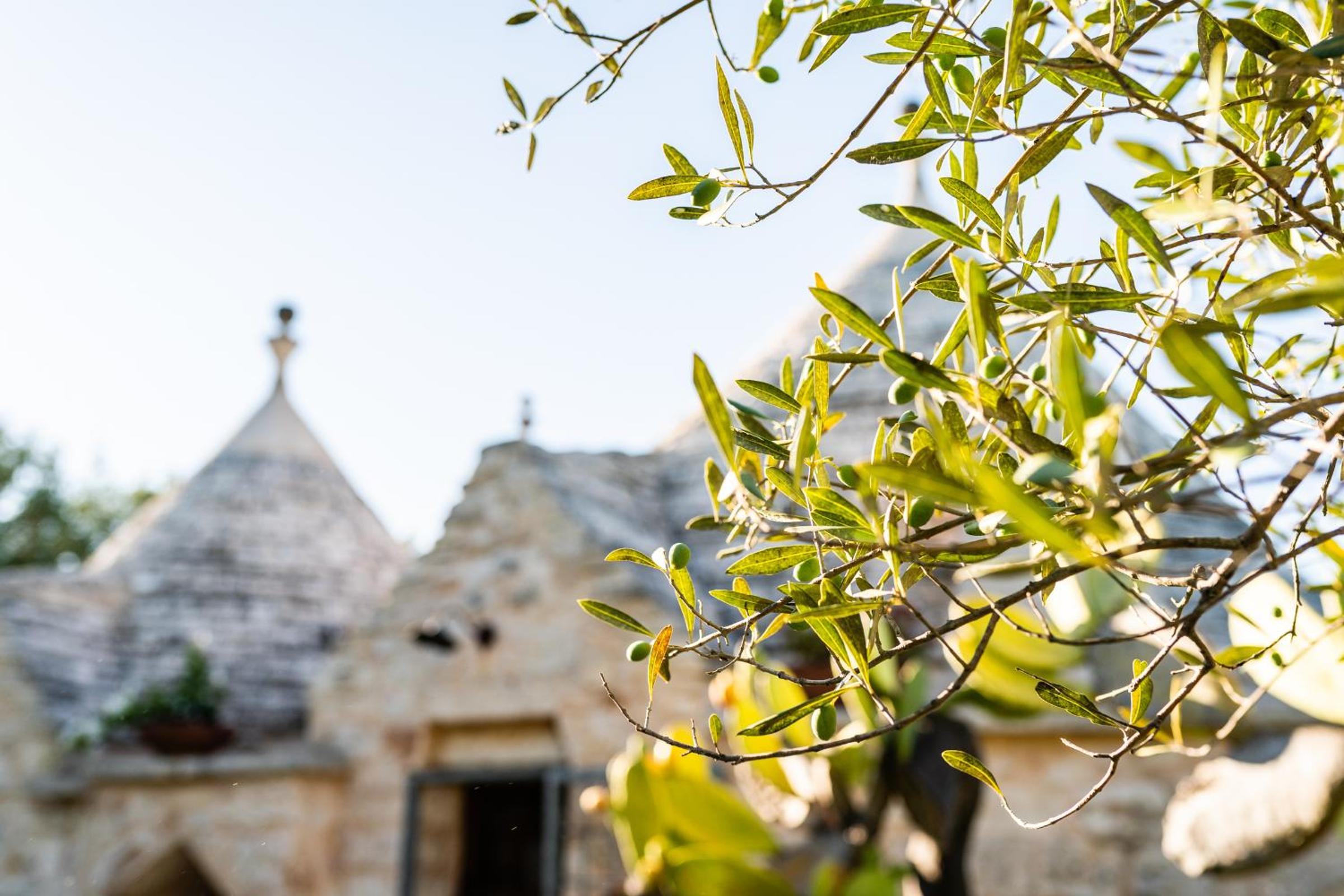 Sopra i Sassi - Villa & Trulli