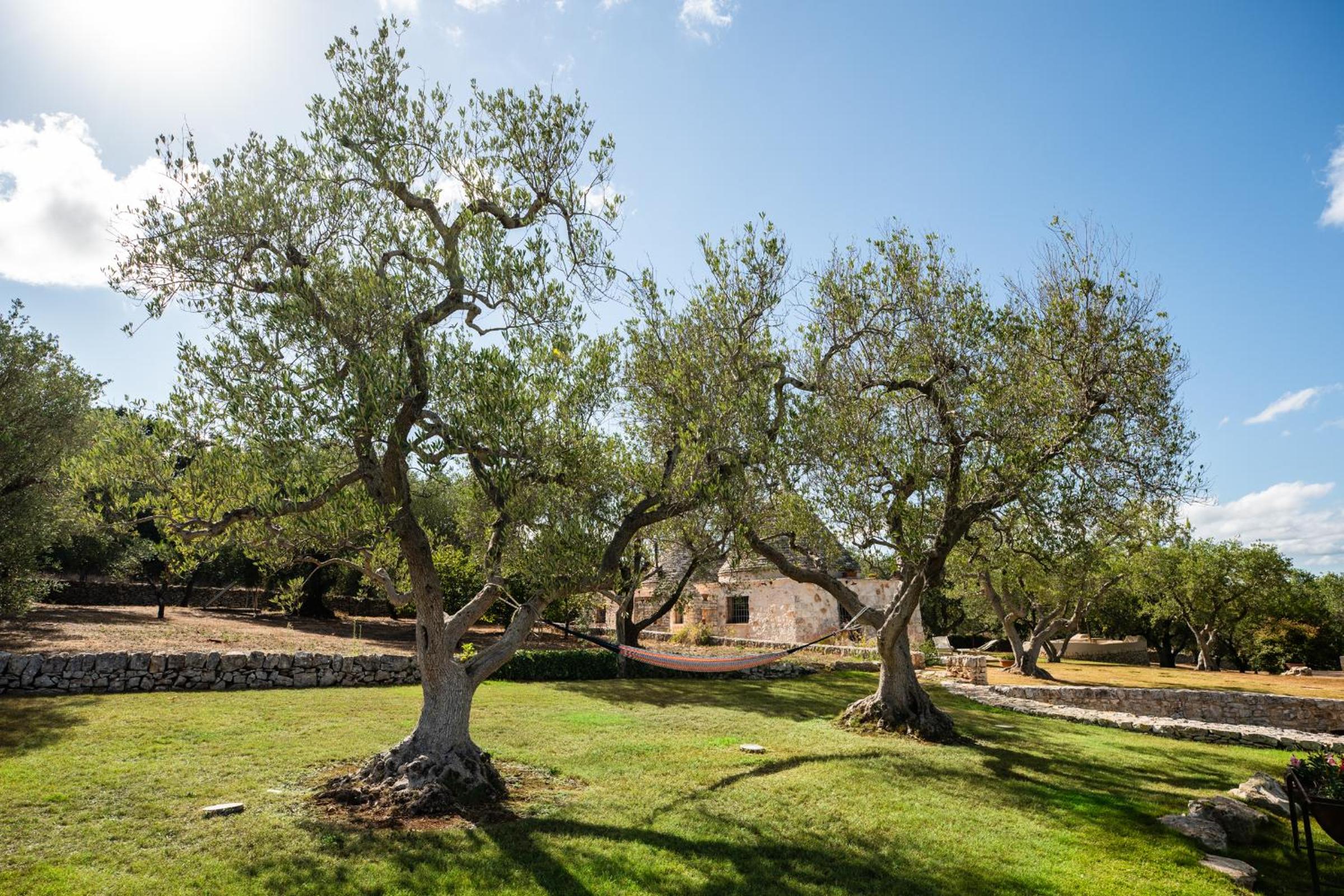 Sopra i Sassi - Villa & Trulli