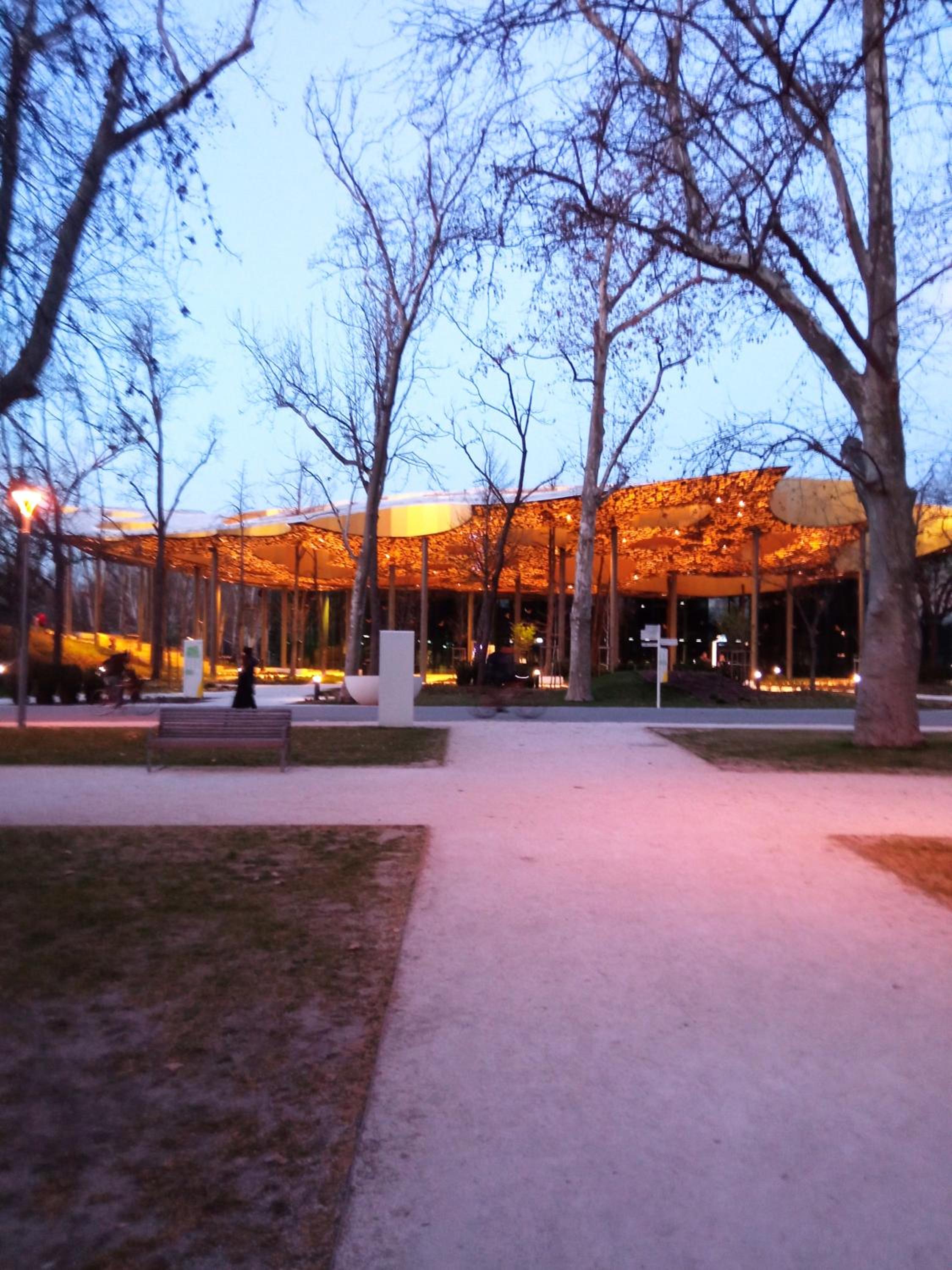 Photo 45