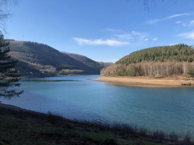 LA PETITE BRIQUE