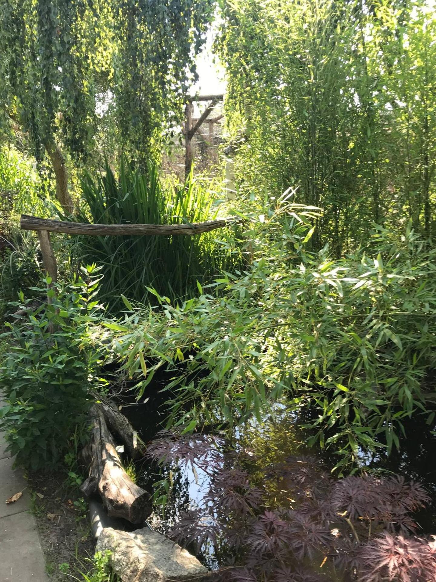 Wohnen im Eulengarten