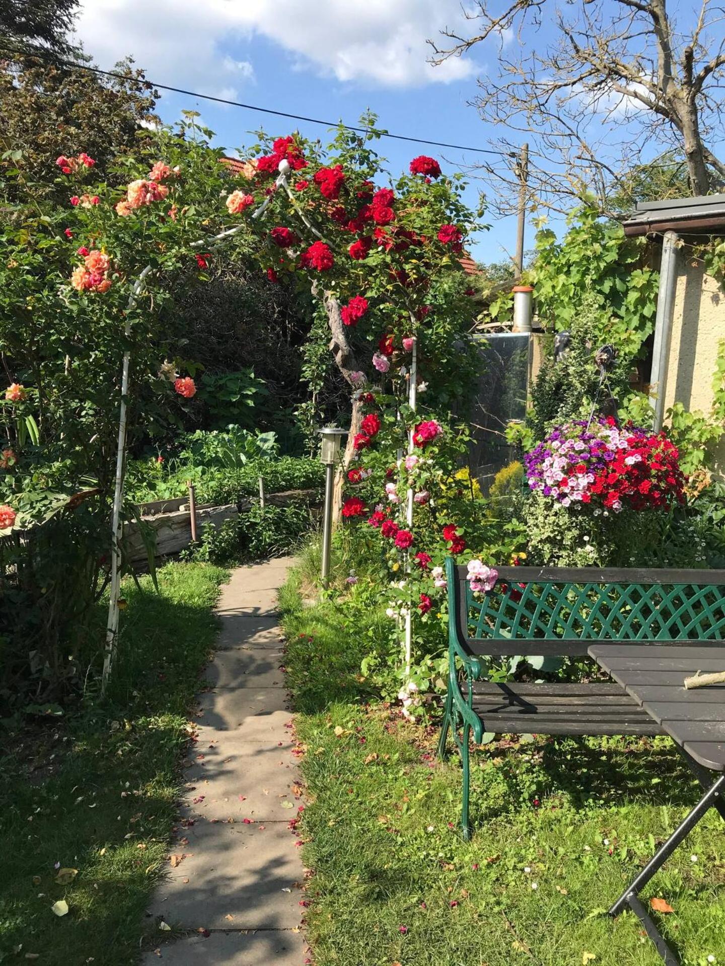 Wohnen im Eulengarten