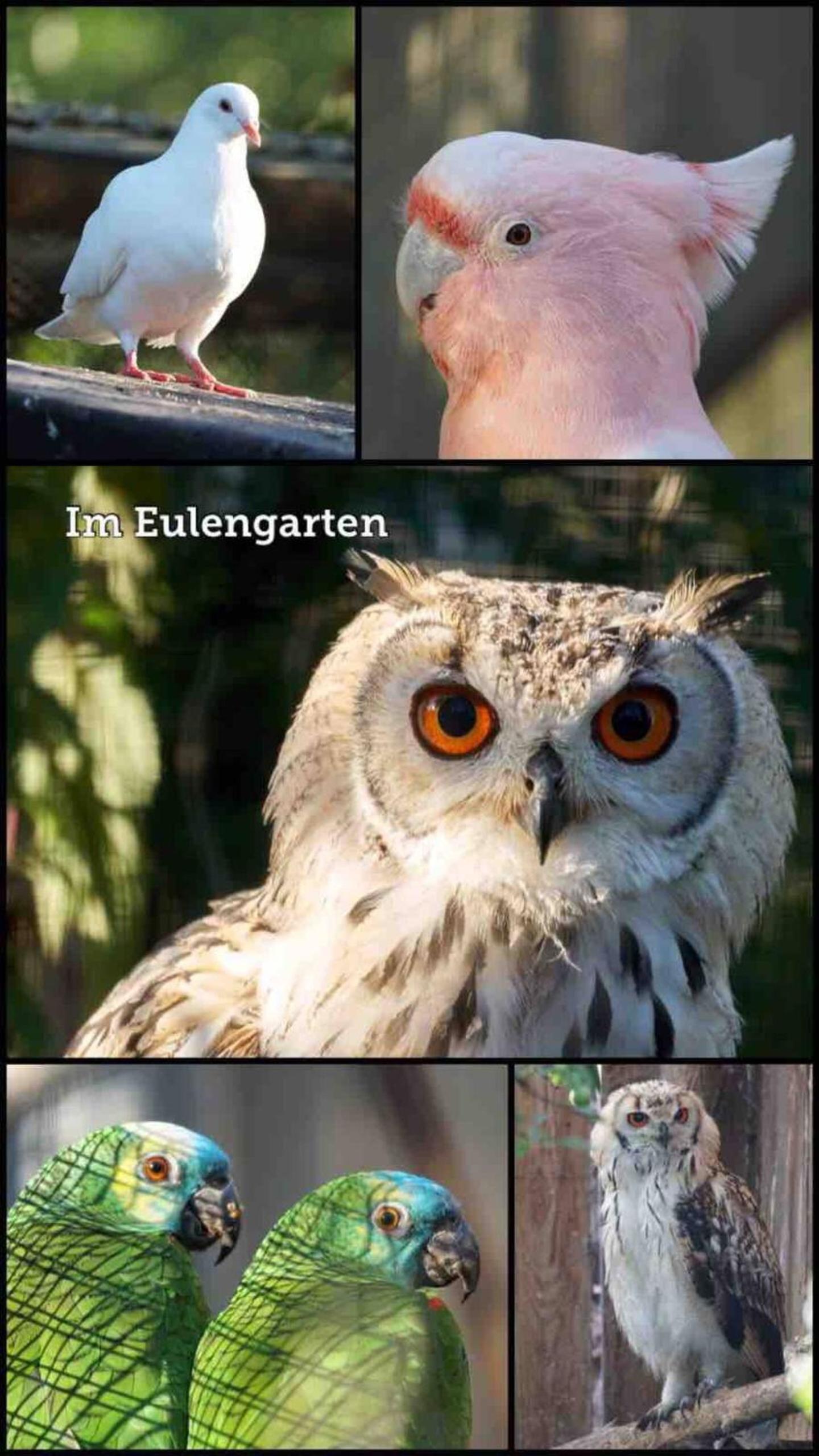Wohnen im Eulengarten