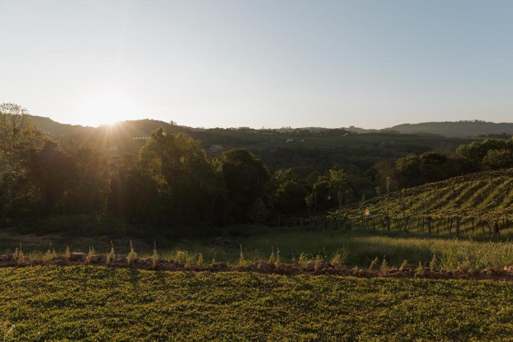 Cabanas Vinsanto