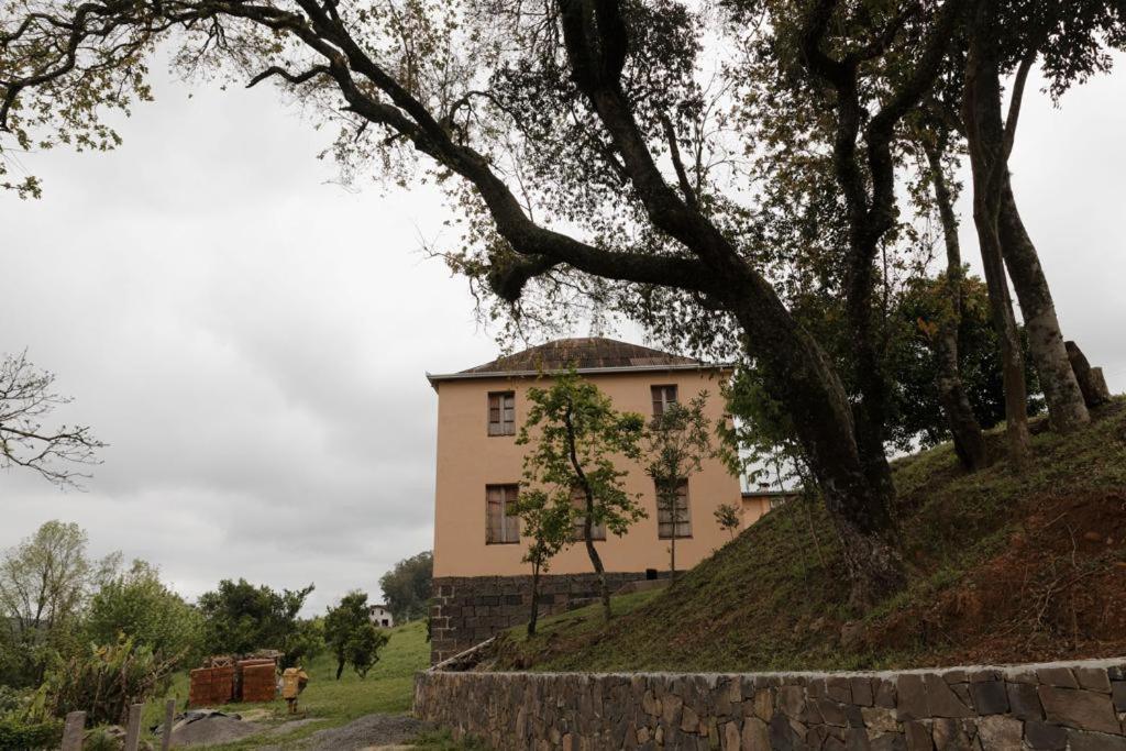 Cabanas Vinsanto