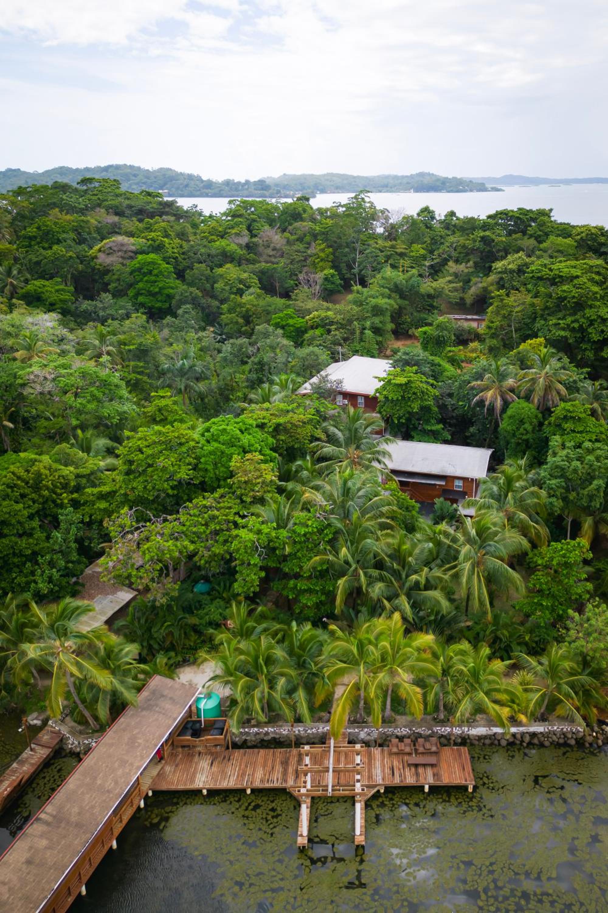 TropicalArts Resort&Studios view 5