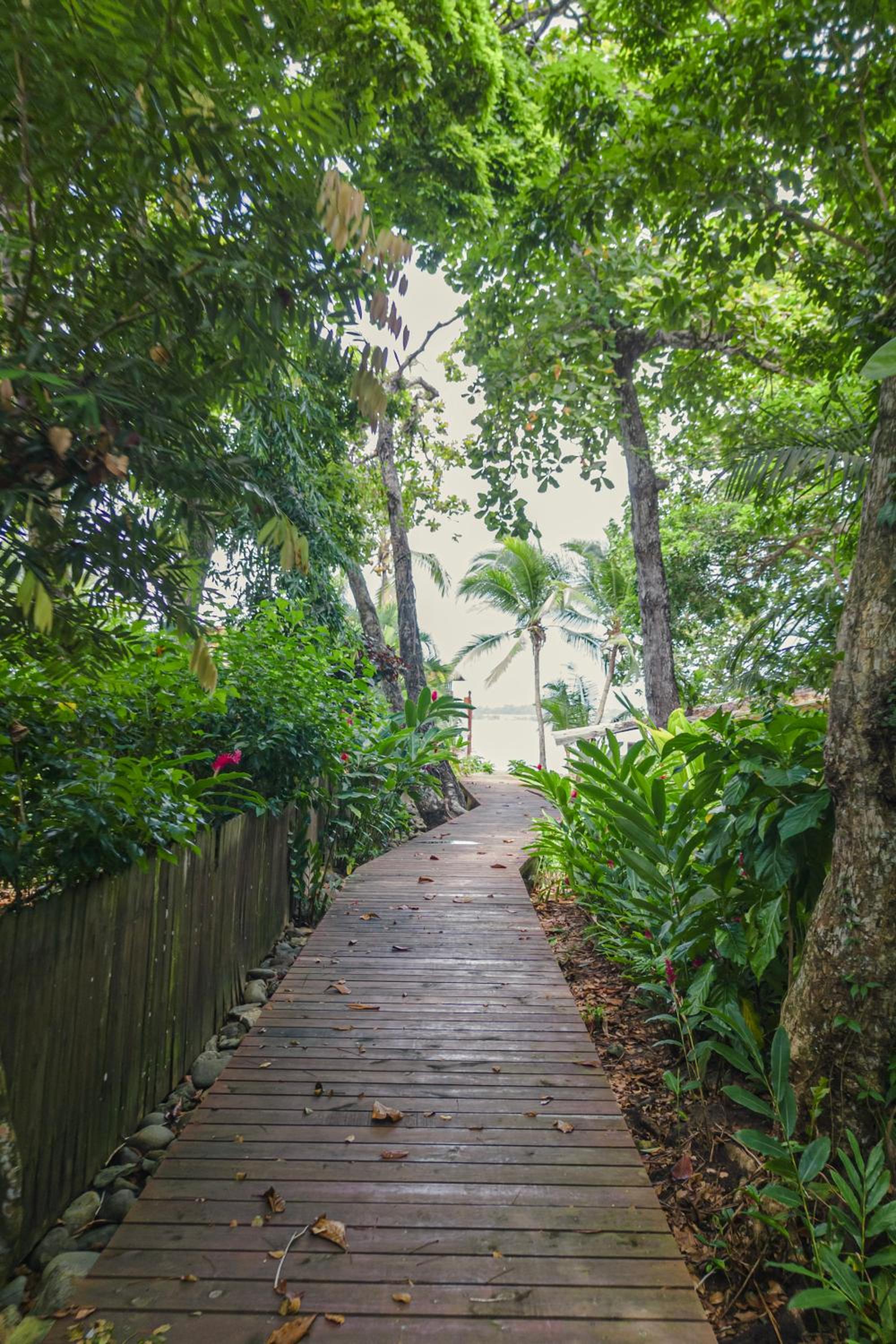 TropicalArts Resort&Studios view 4