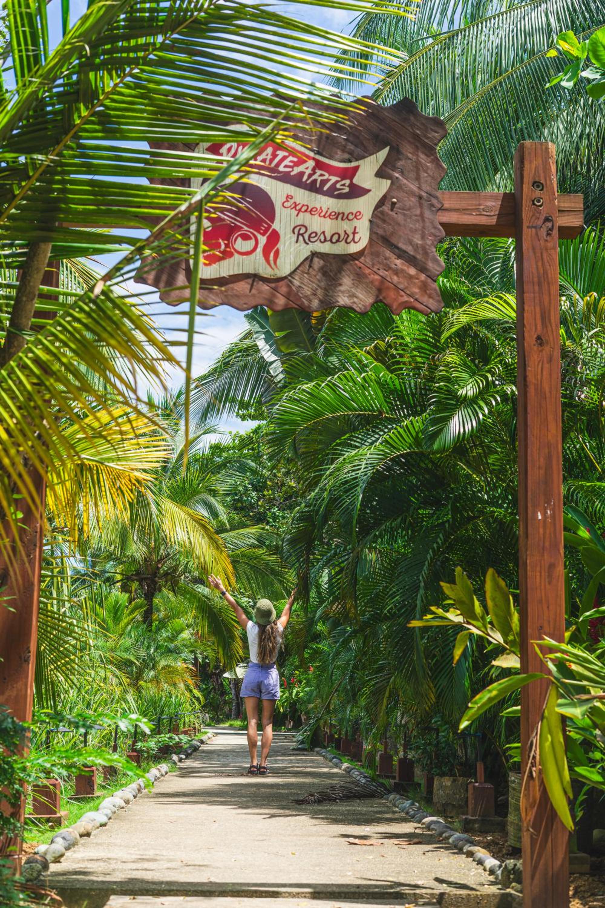 TropicalArts Resort&Studios view 3