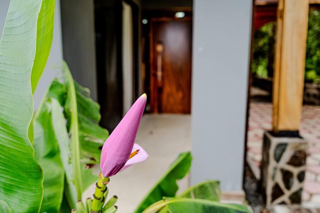 Cloud Forest House Monteverdes
