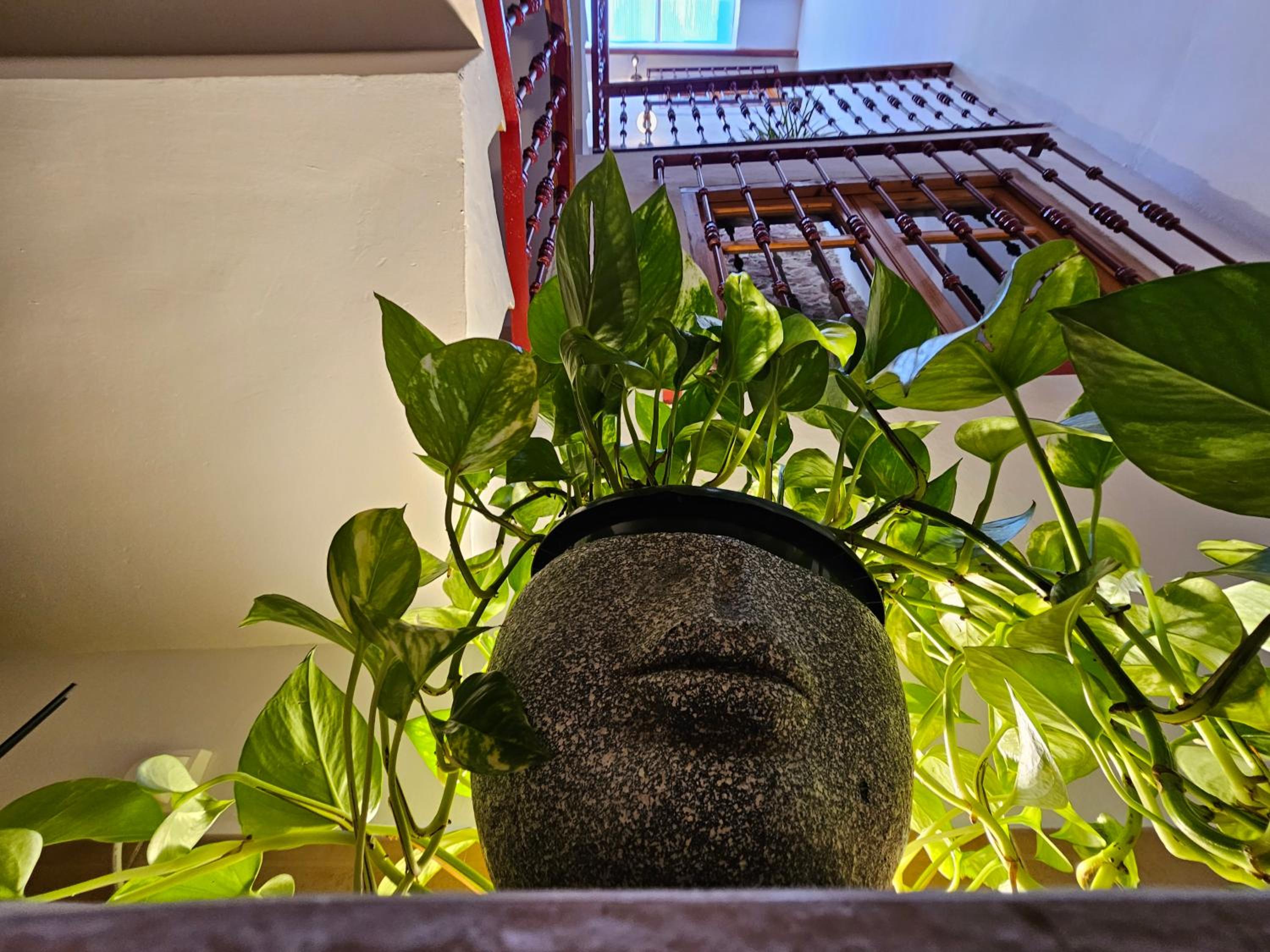 Casa Turistica Torreón de Villafamés