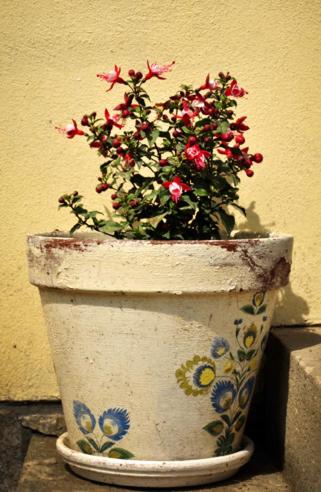 Photo 42