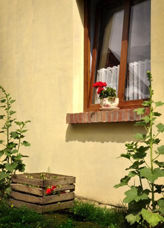 Photo 39