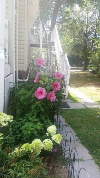 Photo 27