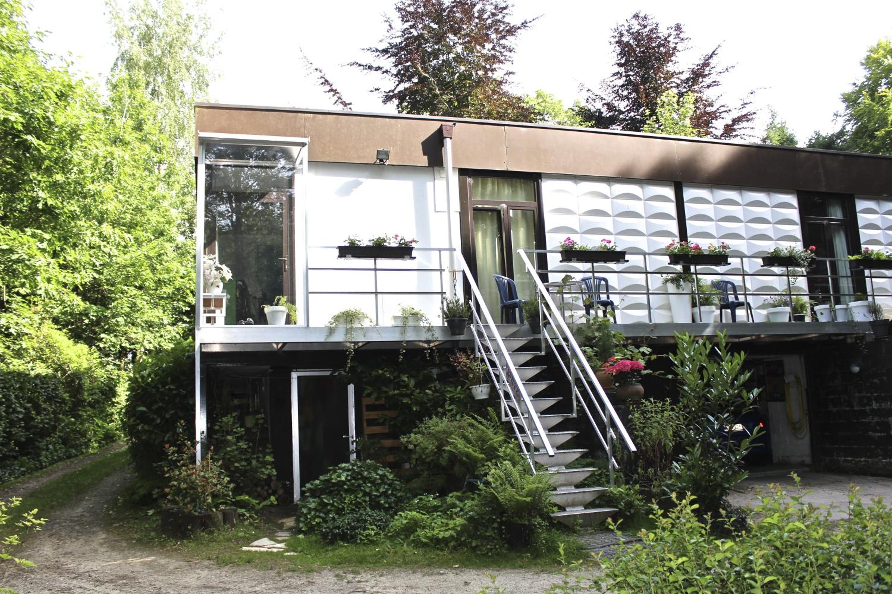 Linden-Jachthoorn, photo 54