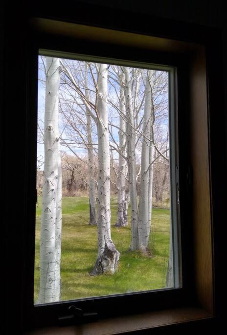 Yellowstone River Retreat in Big Timber, Montana!! Dramatic views of the Yellowstone River. view 4