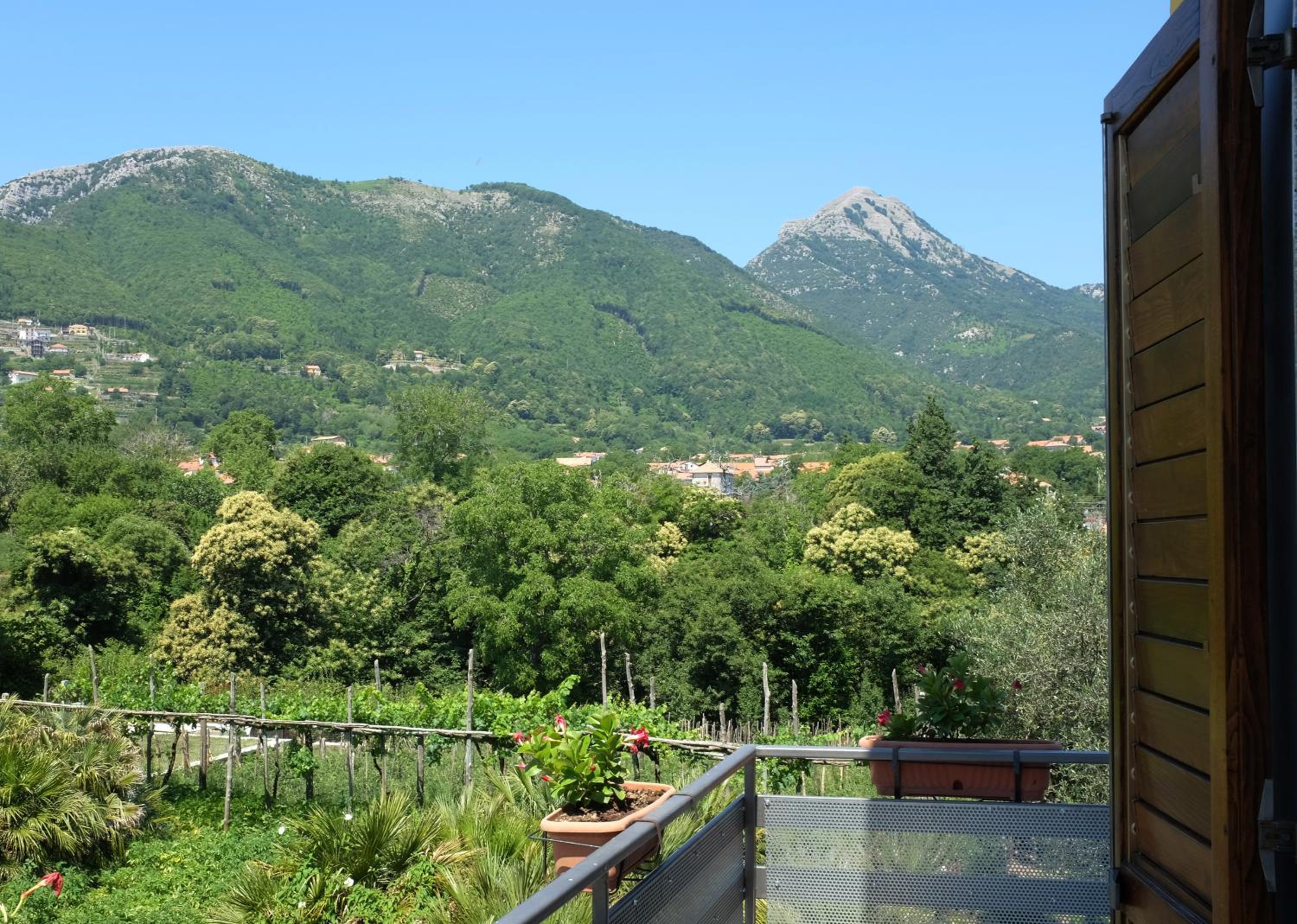 Villa Elisa