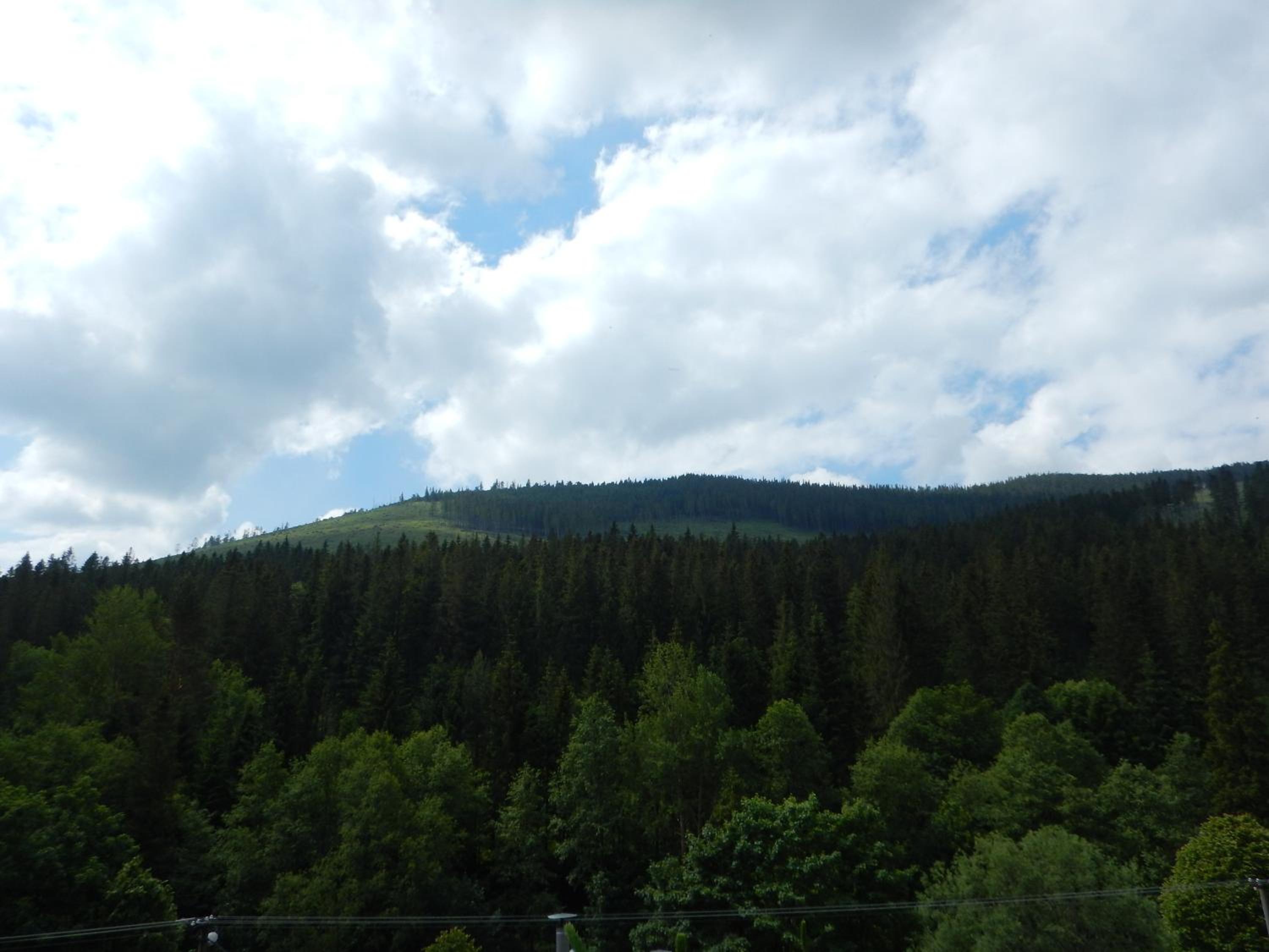 Photo 49