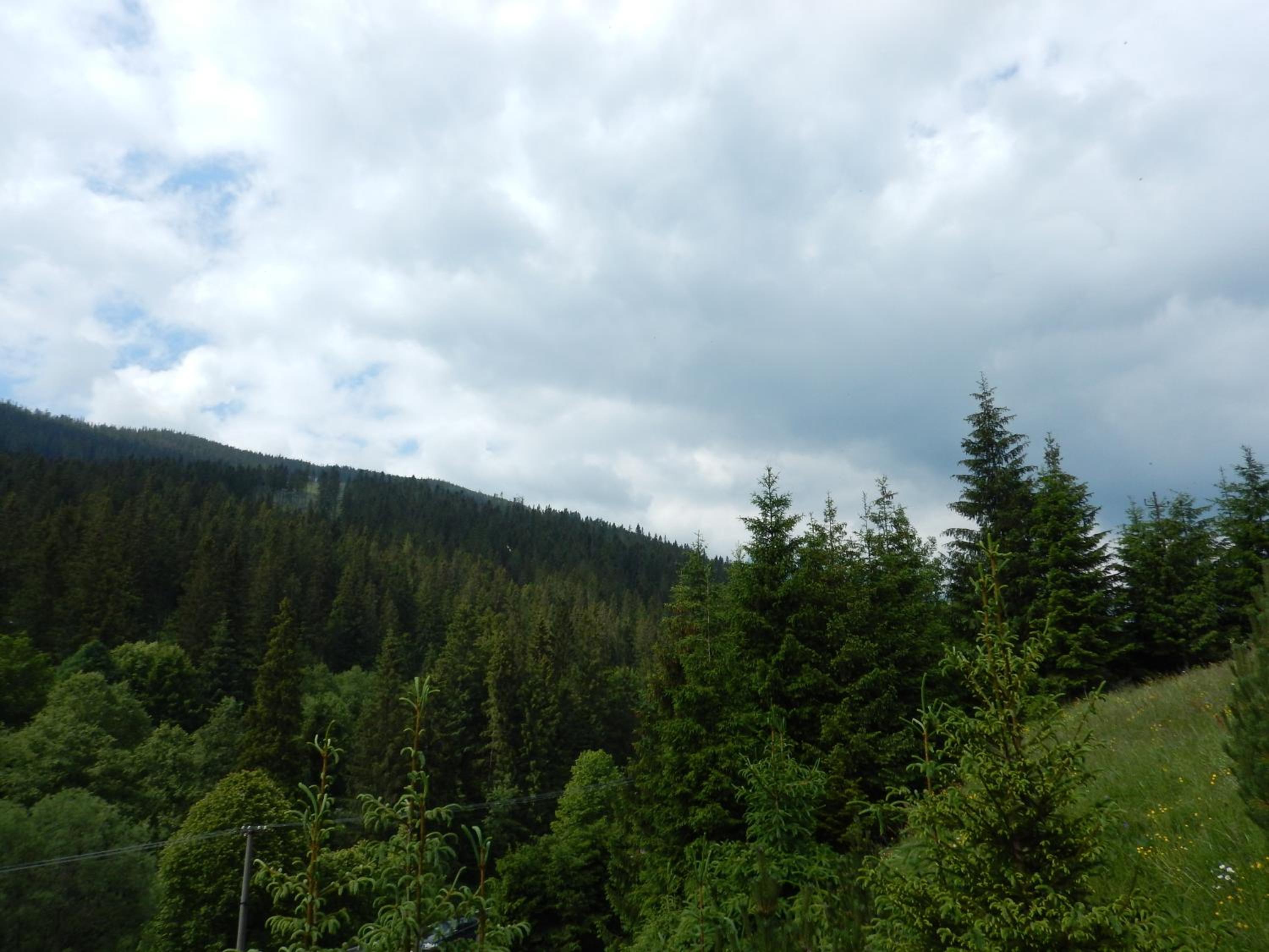 Photo 50