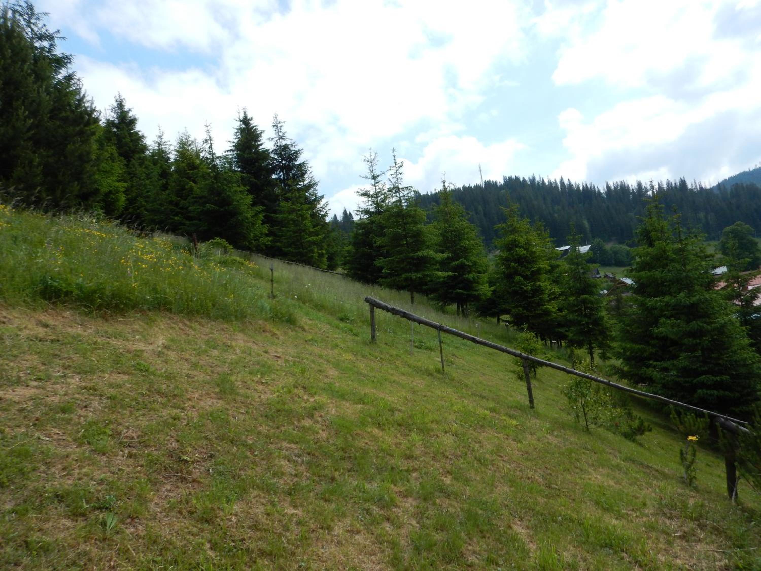 Photo 51