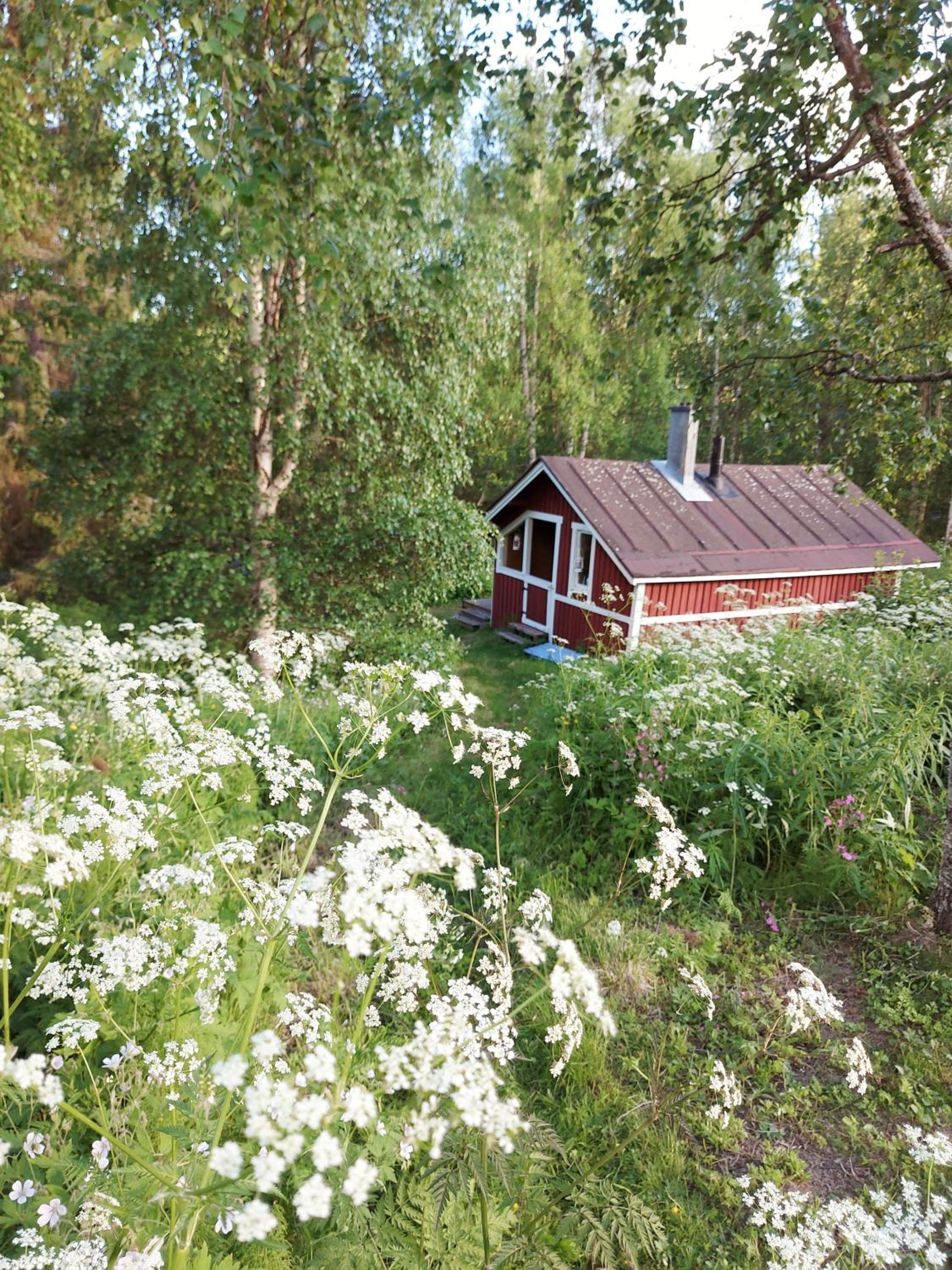Villa SinettäStar-- Traditional Lapland Chalet
