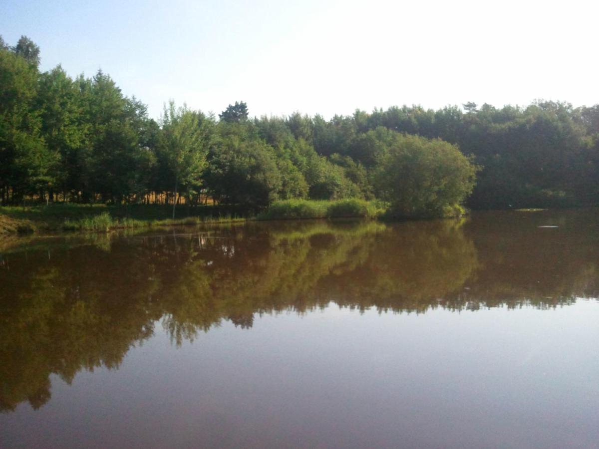 Photo 44