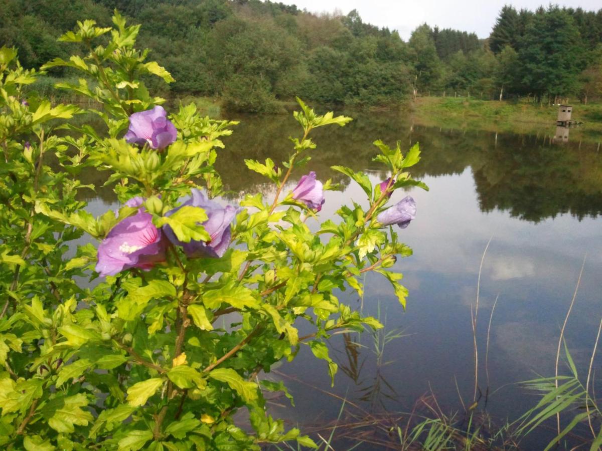 Photo 45