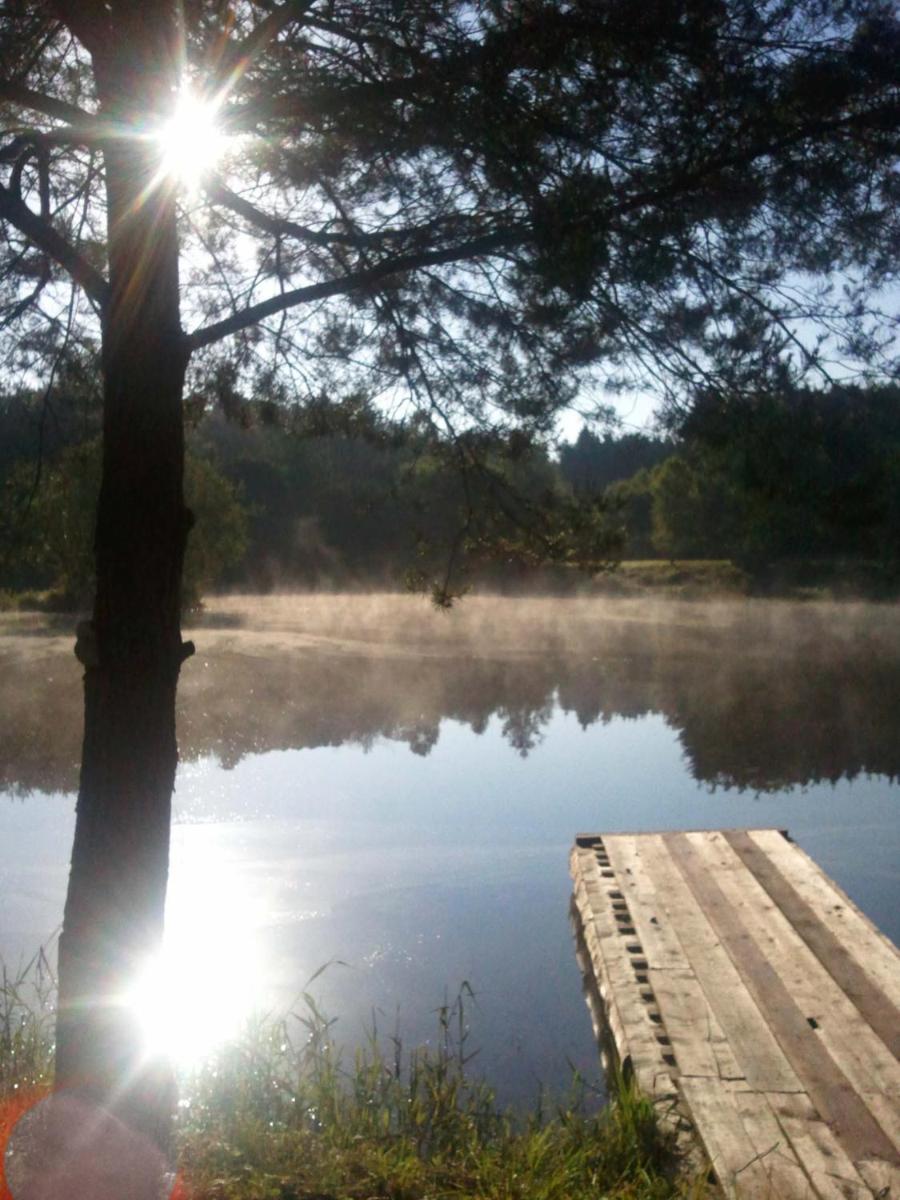 Photo 49