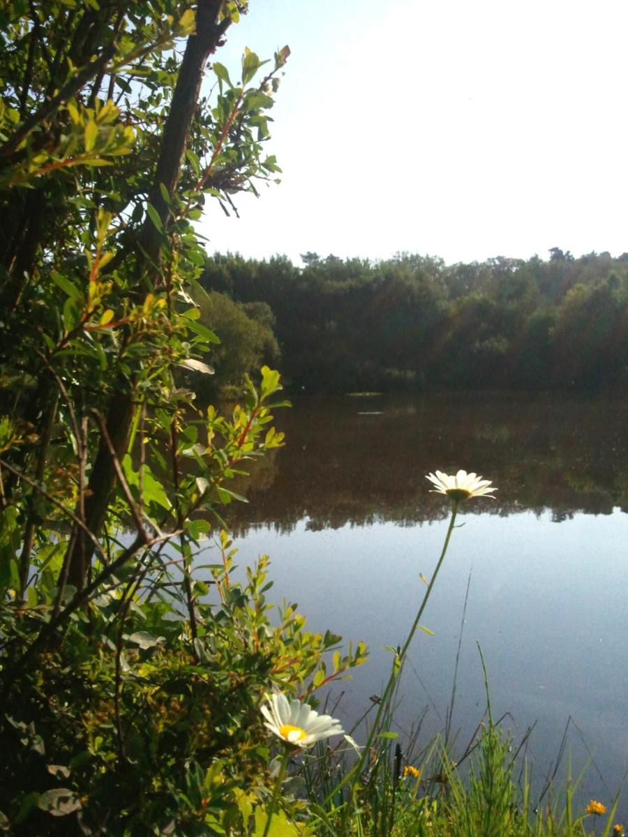 Photo 47