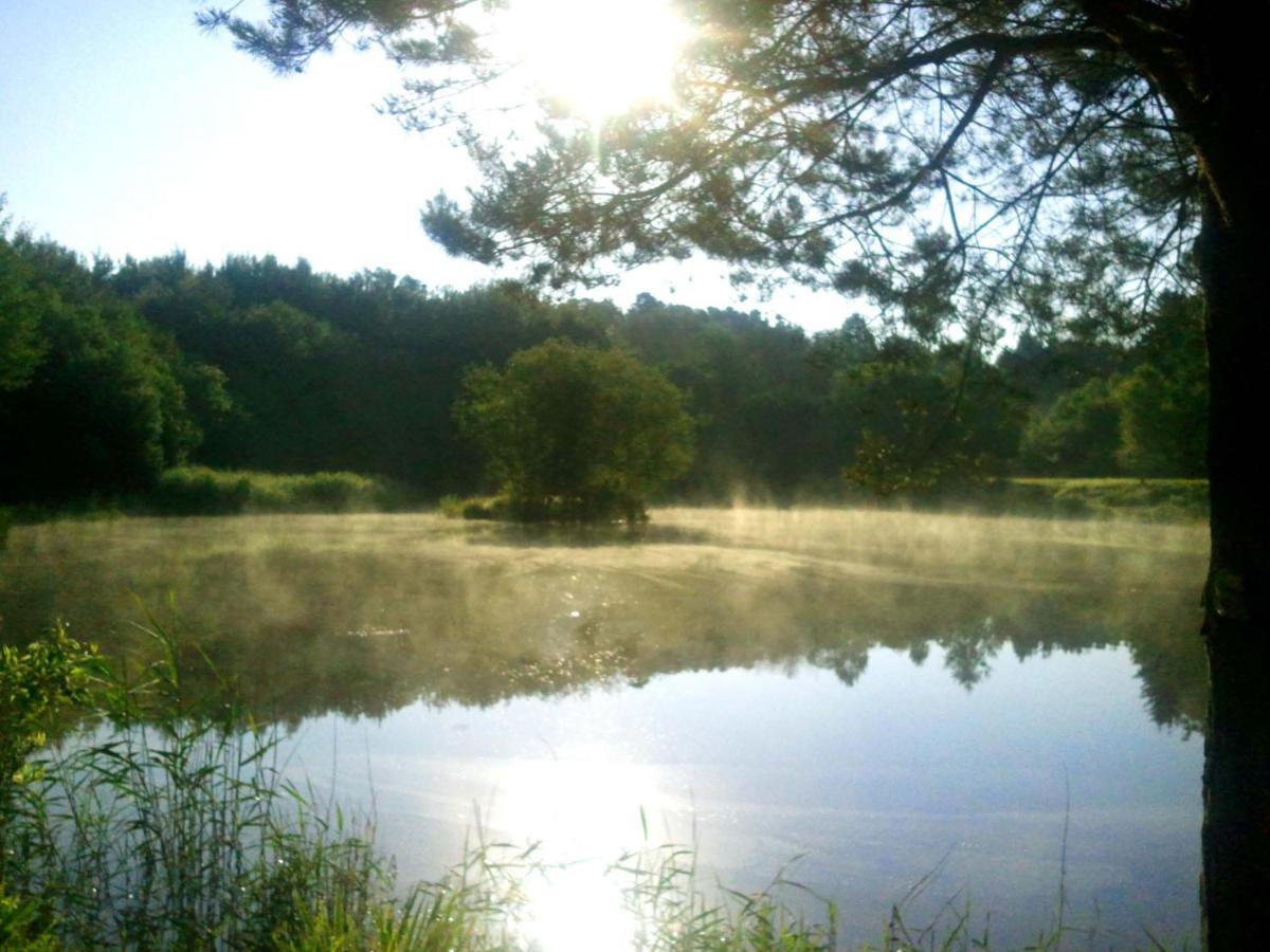 Photo 48