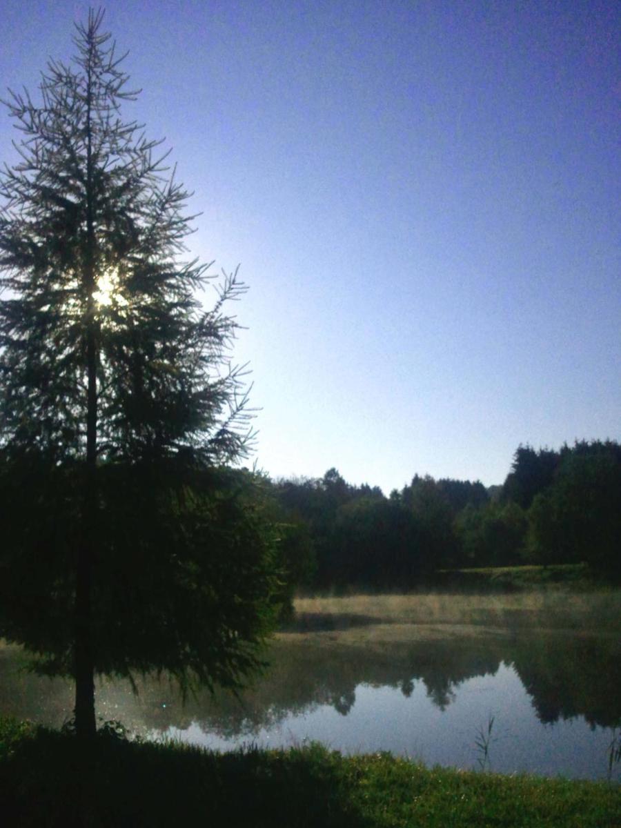 Photo 50