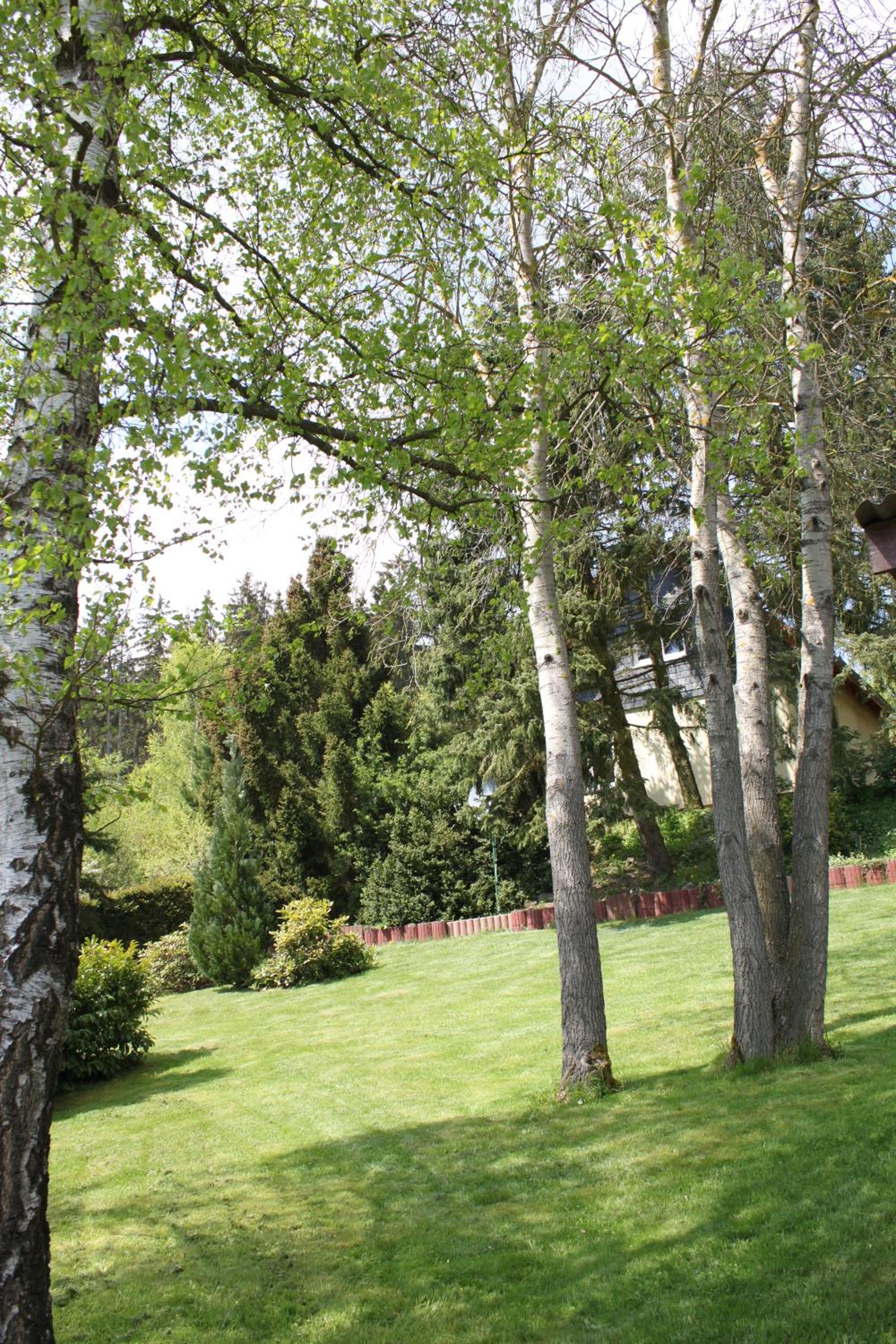 Ferienhaus Harzblick