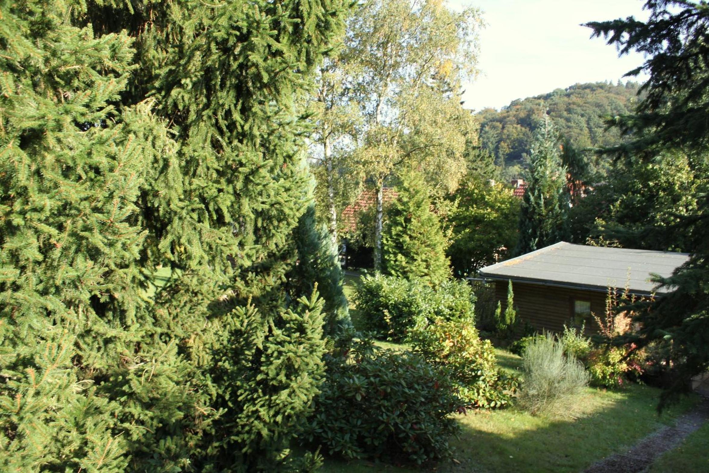 Ferienhaus Harzblick