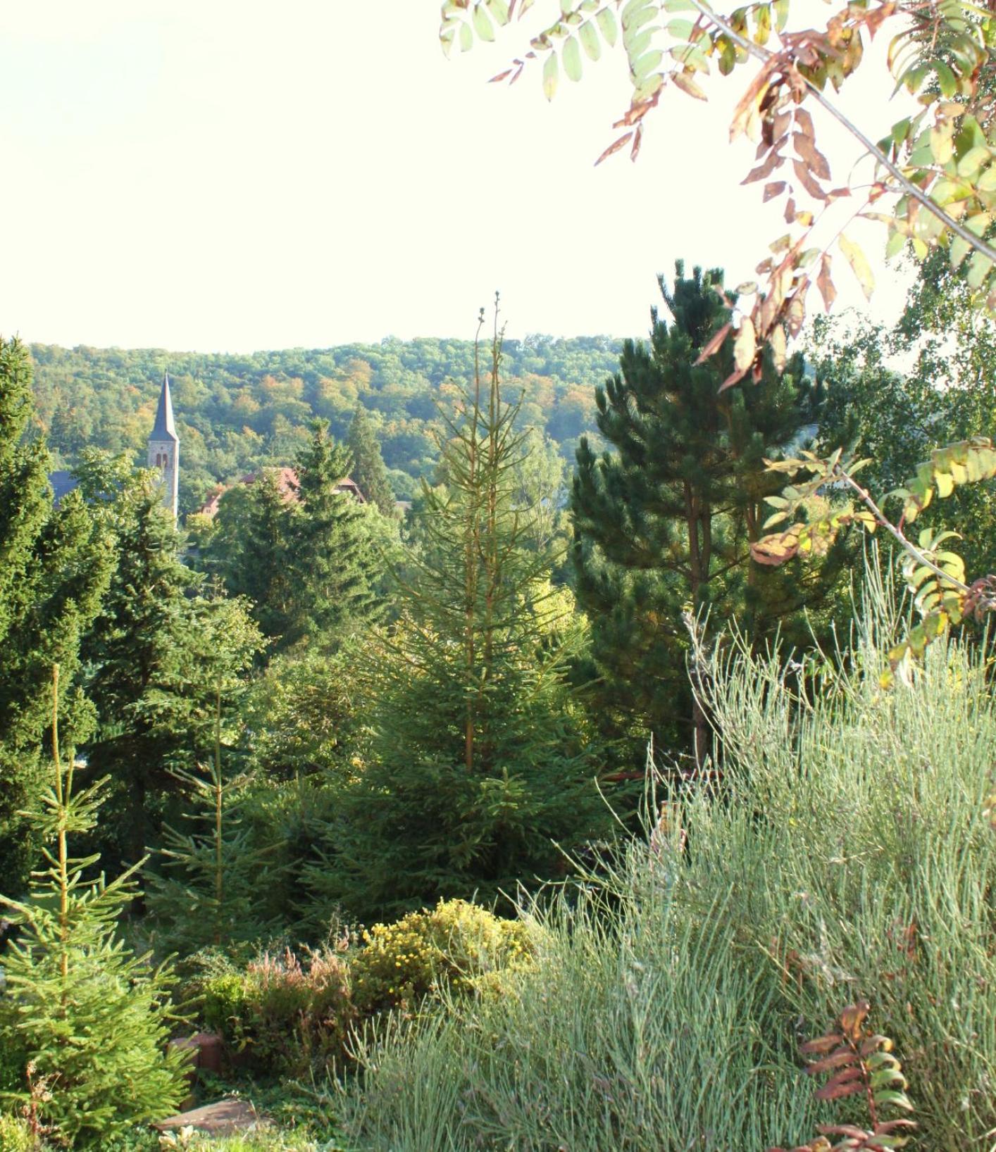 Ferienhaus Harzblick