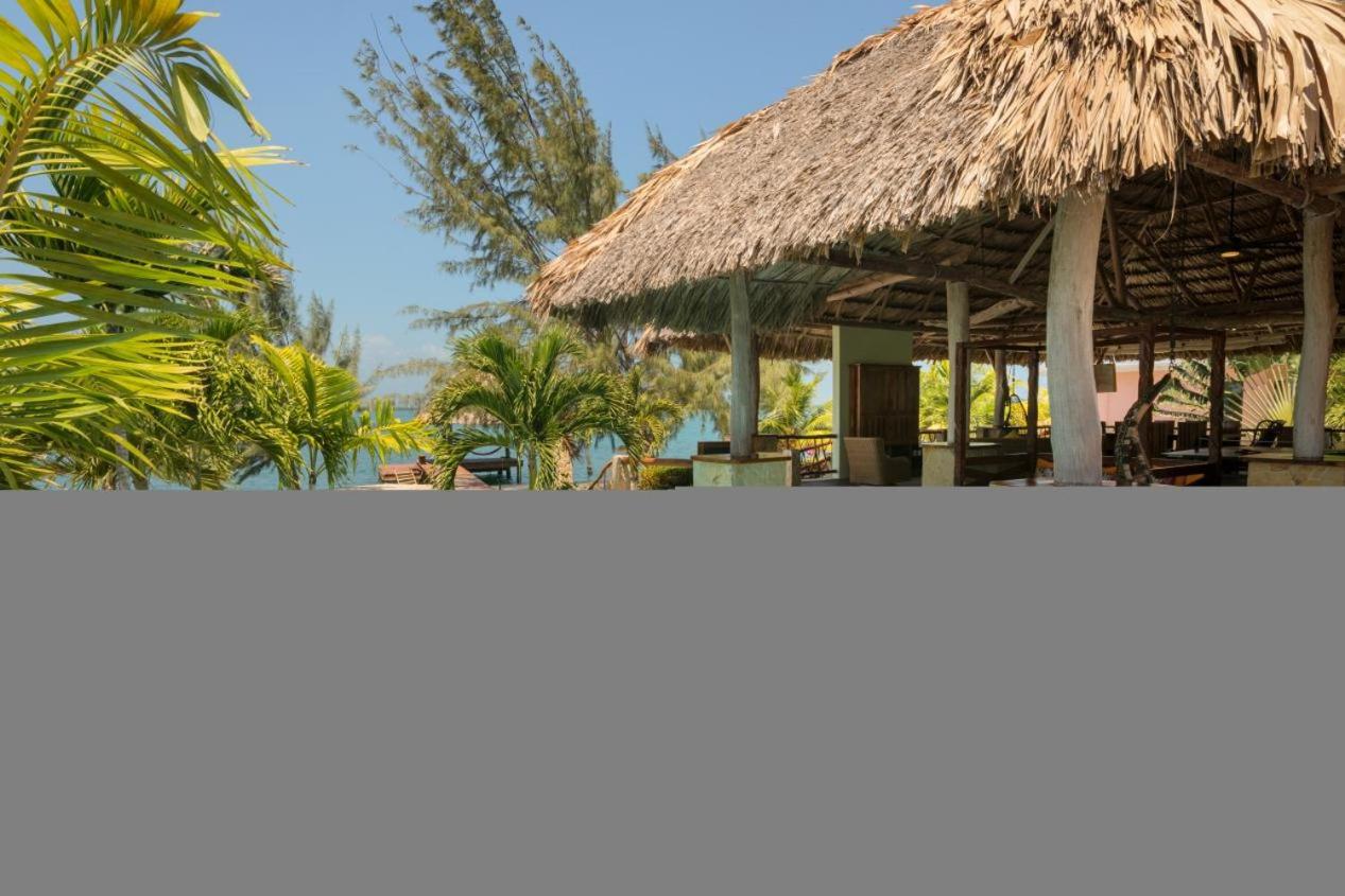 Little Harvest Caye - Your Own Private Island
