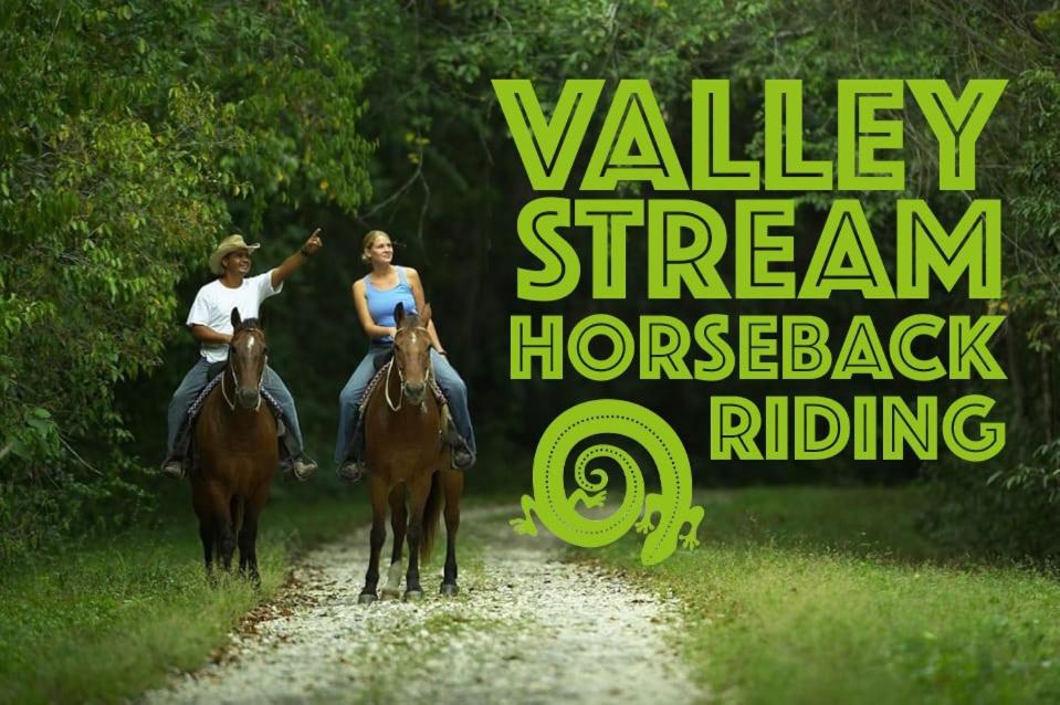Valley Stream Private Eden