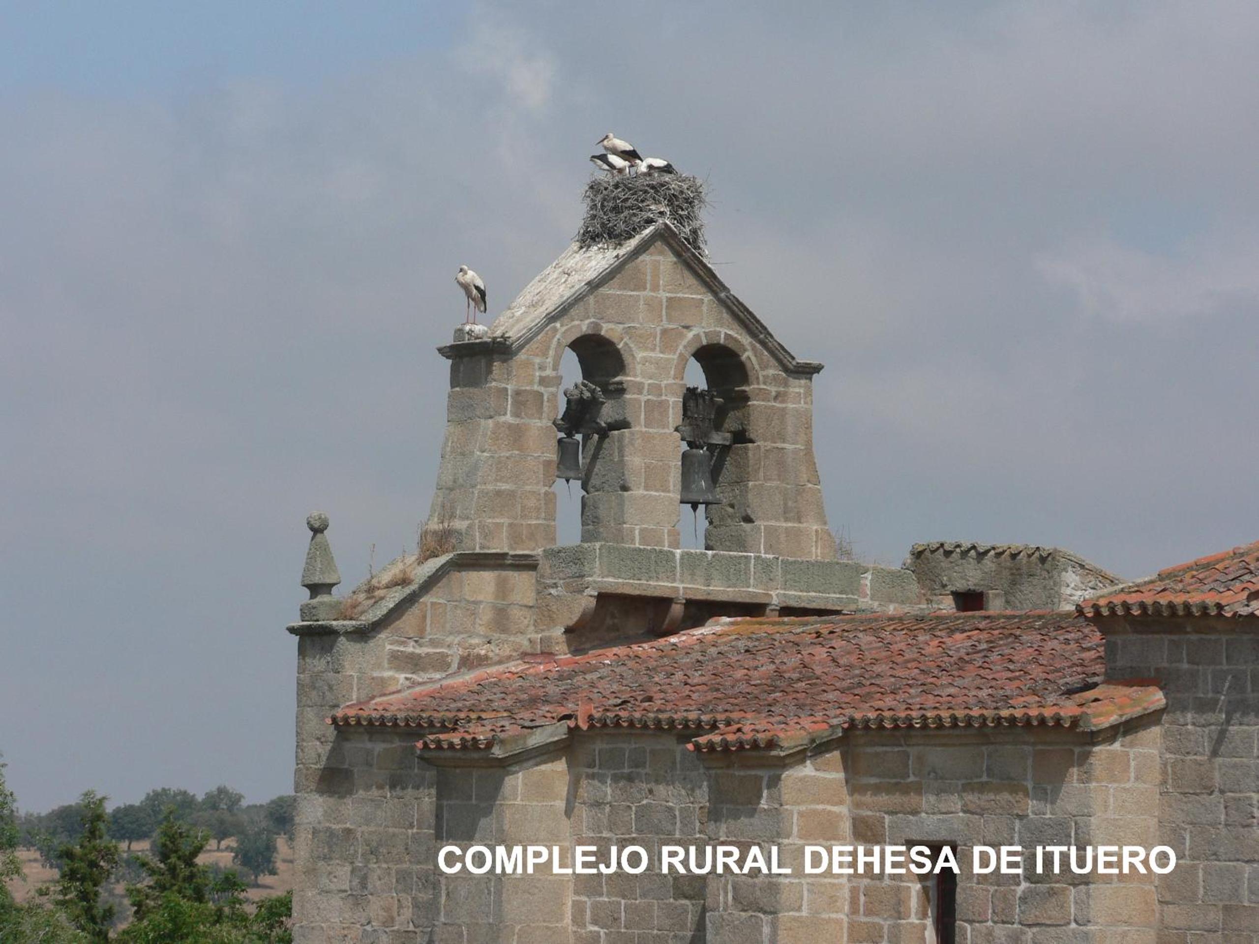 Complejo Rural Dehesa de Ituero