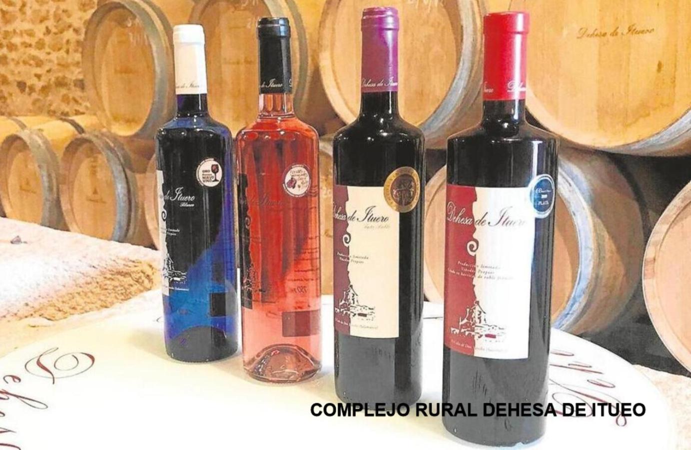 Complejo Rural Dehesa de Ituero
