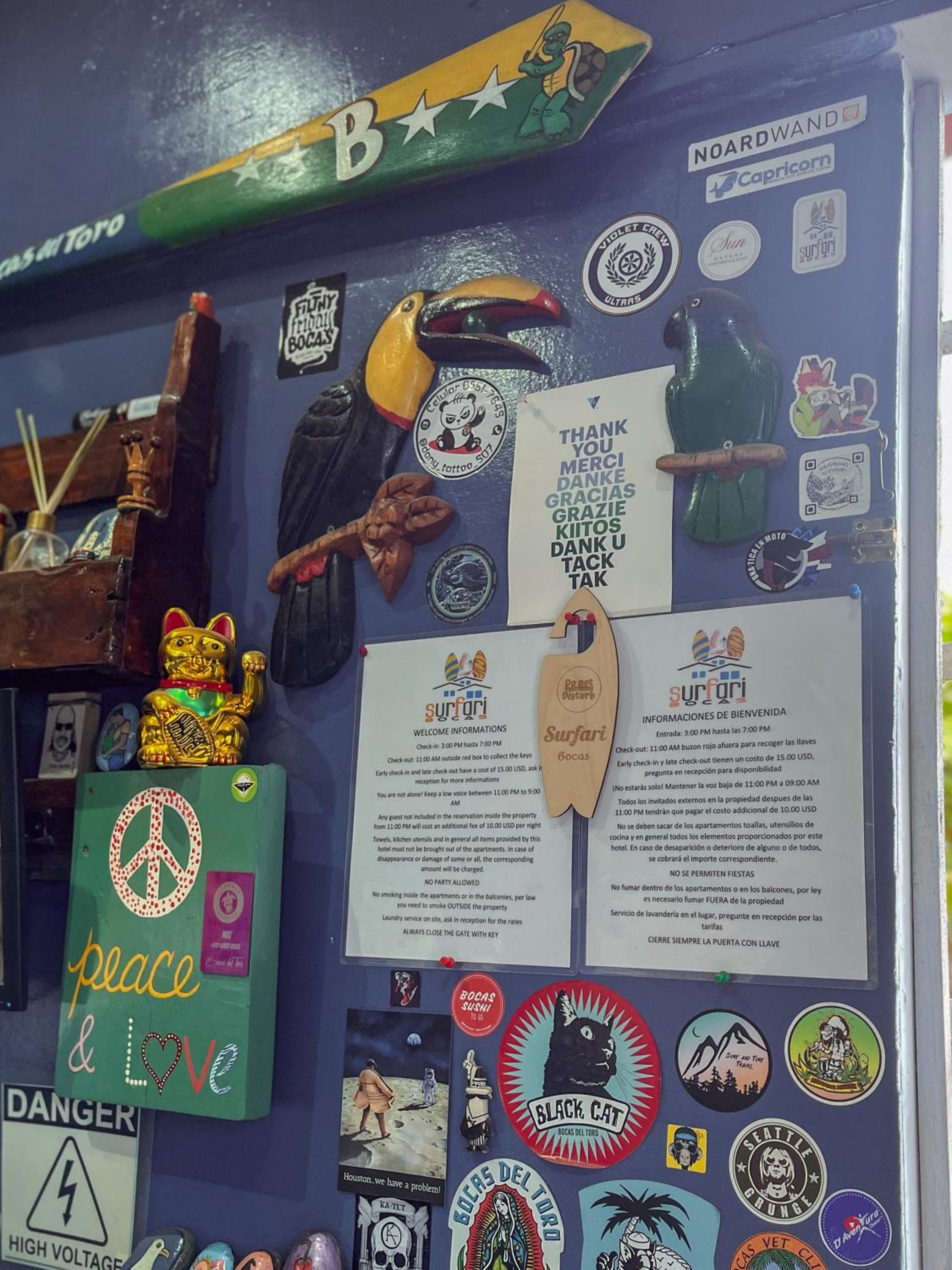 Surfari Bocas, photo 127