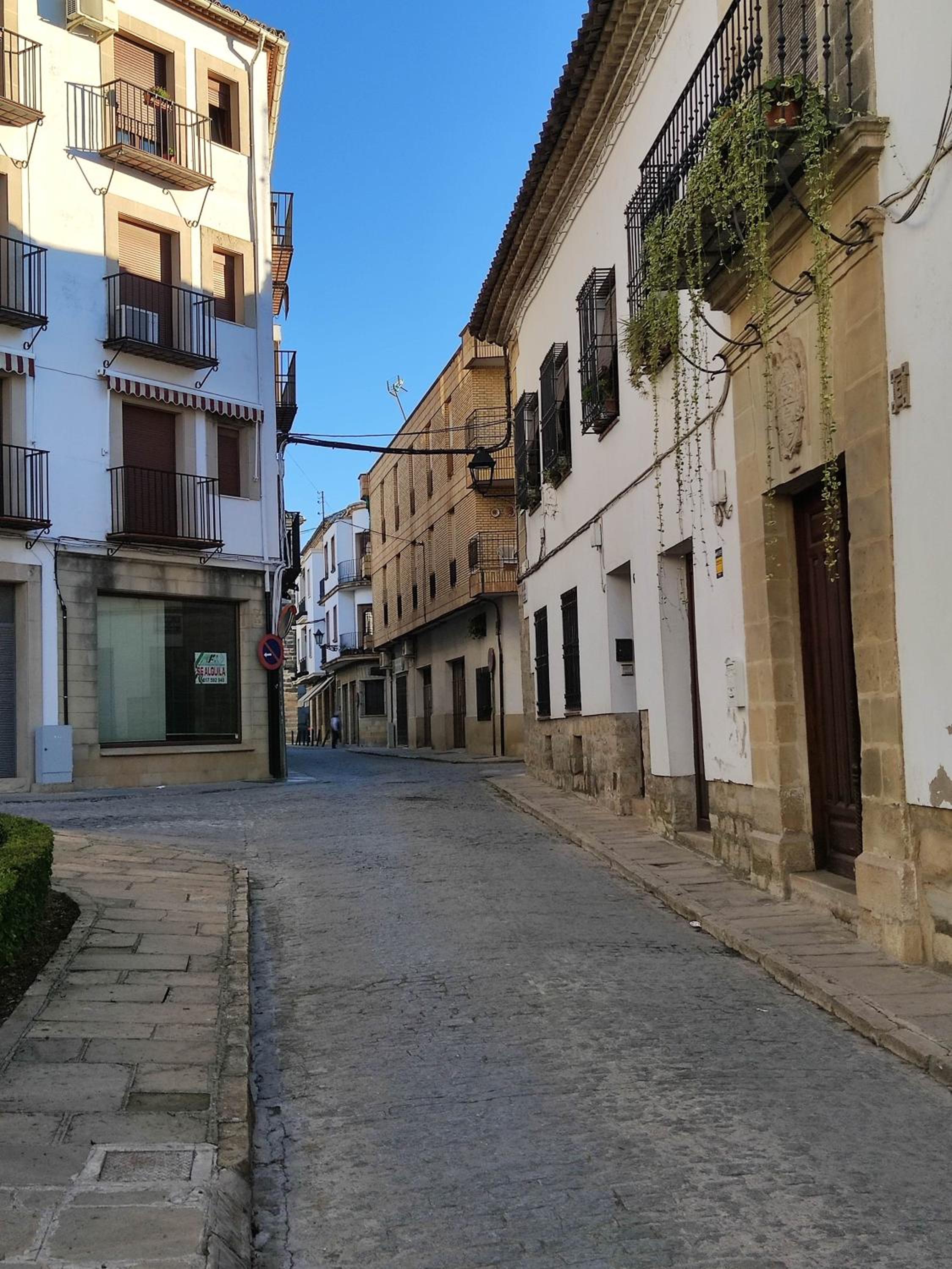 Plaza Samaniego