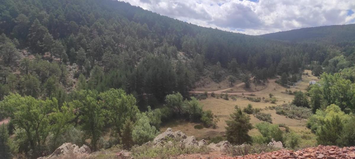 Apartamento rural en bronchales, Sierra de Albarracín photo 2
