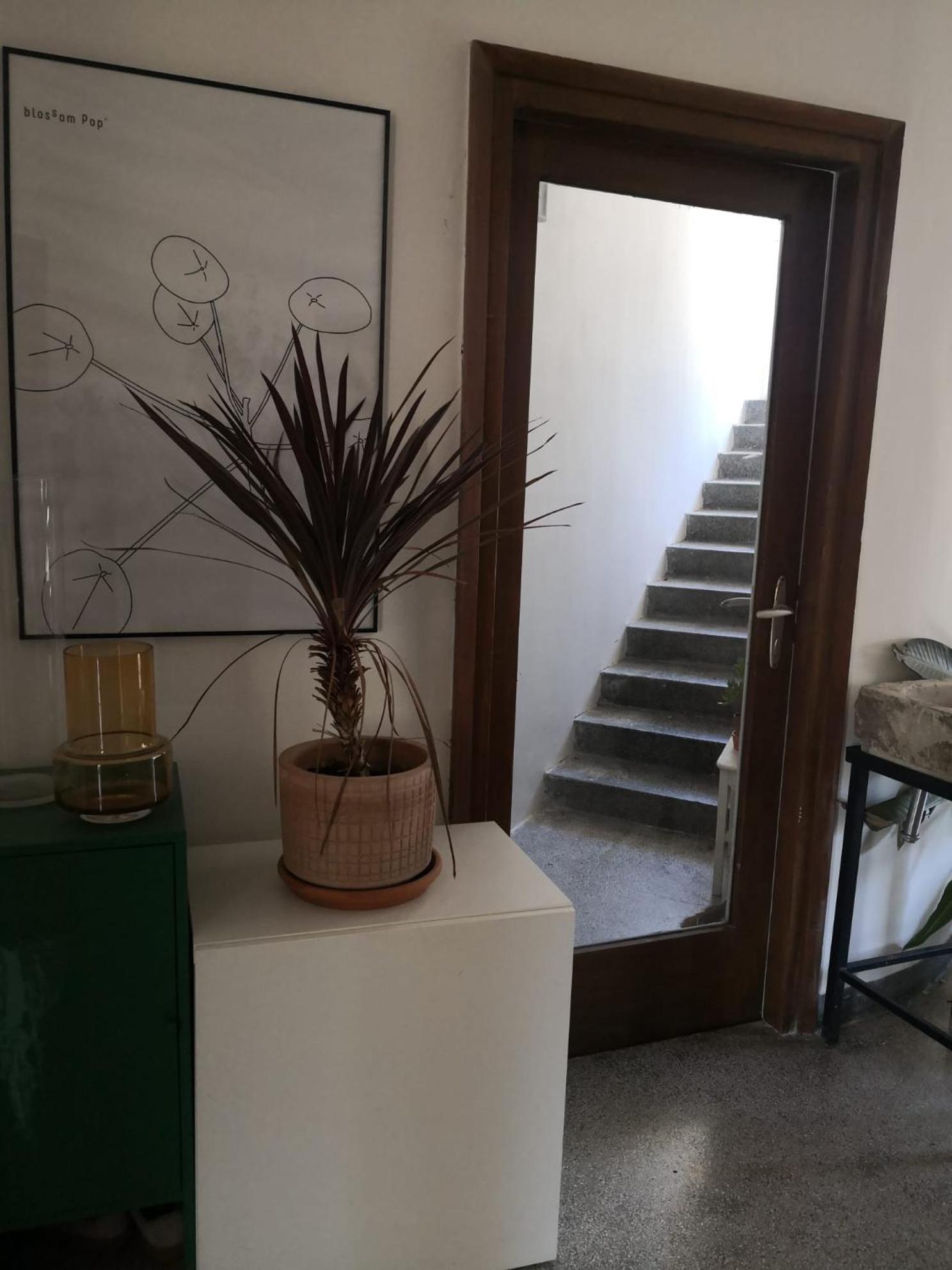 Centrally Chic Studio