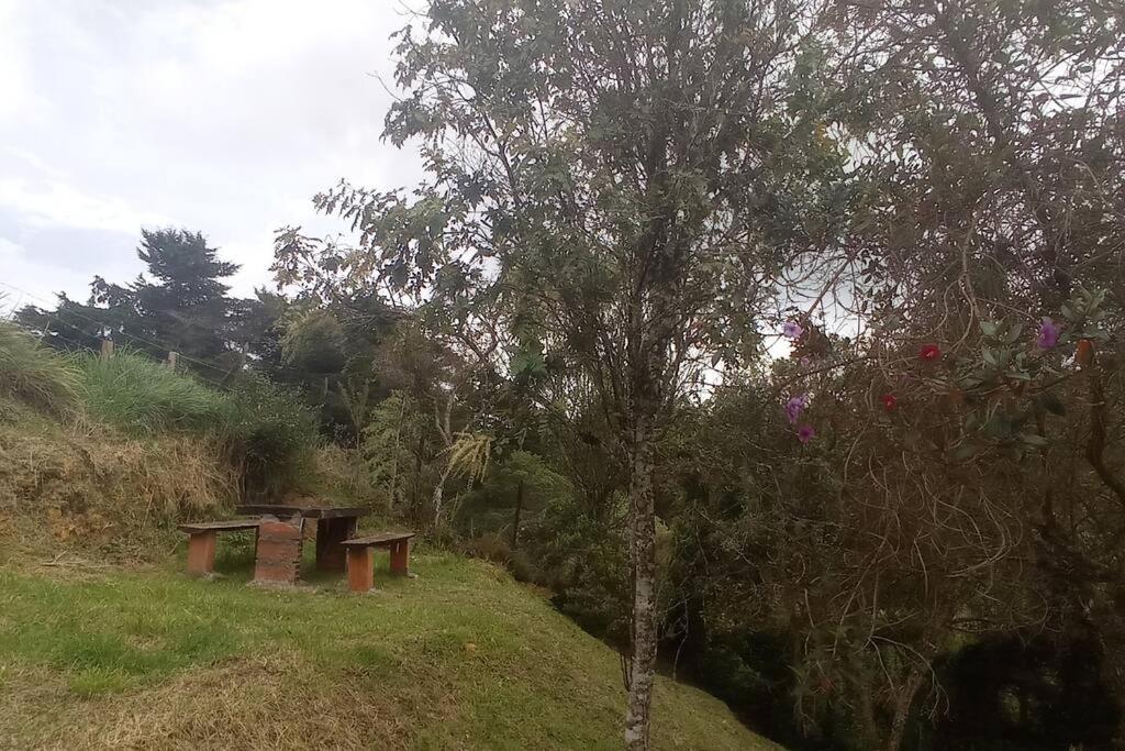 Santa Elena. Refugio de Luz