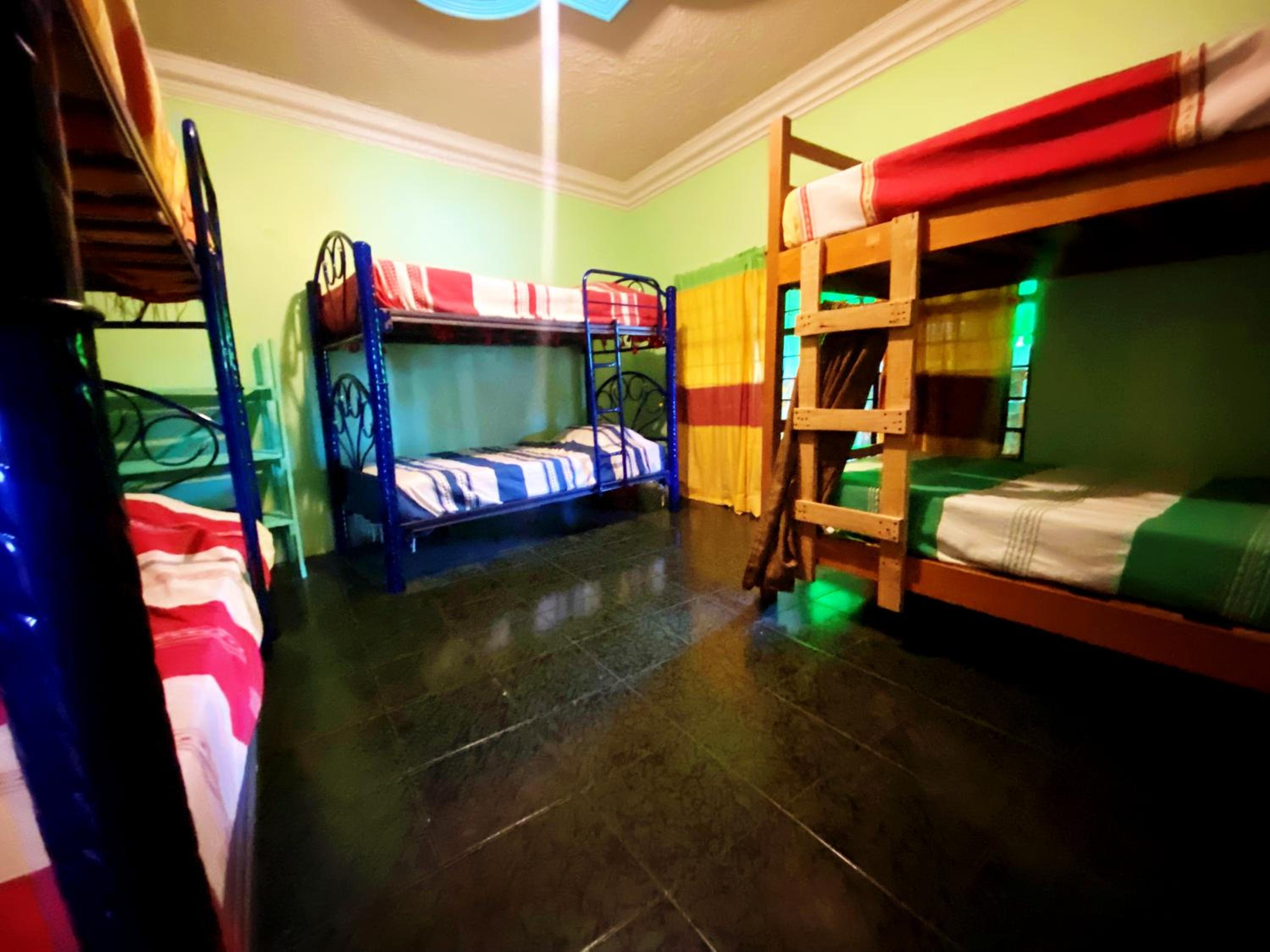 Photo 19